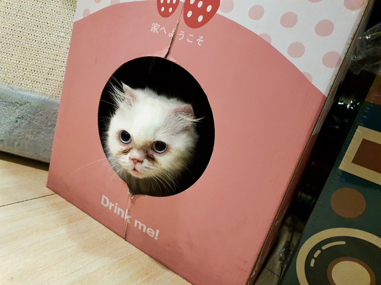 PINKPAW Petshop