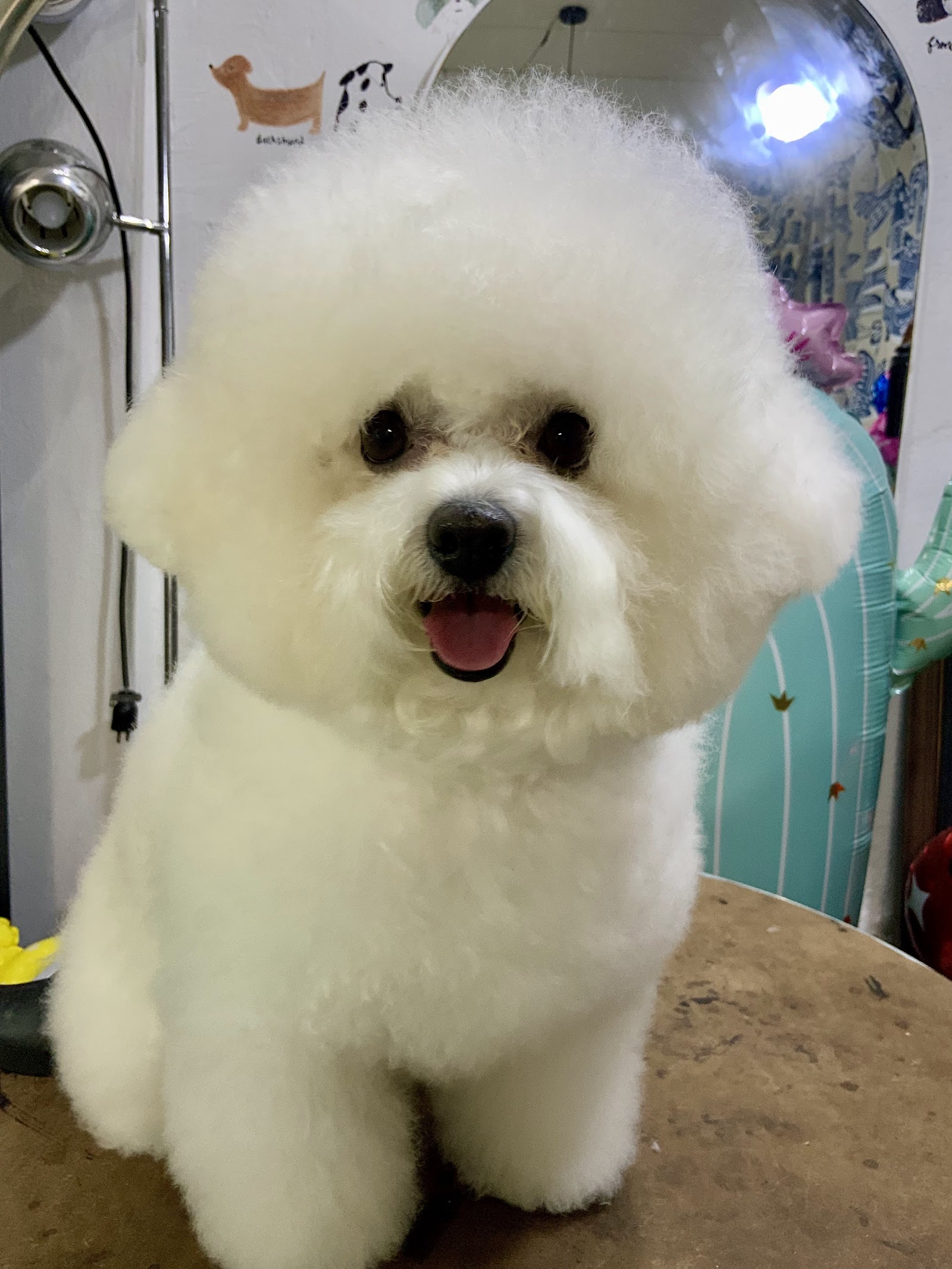 Poseidog
