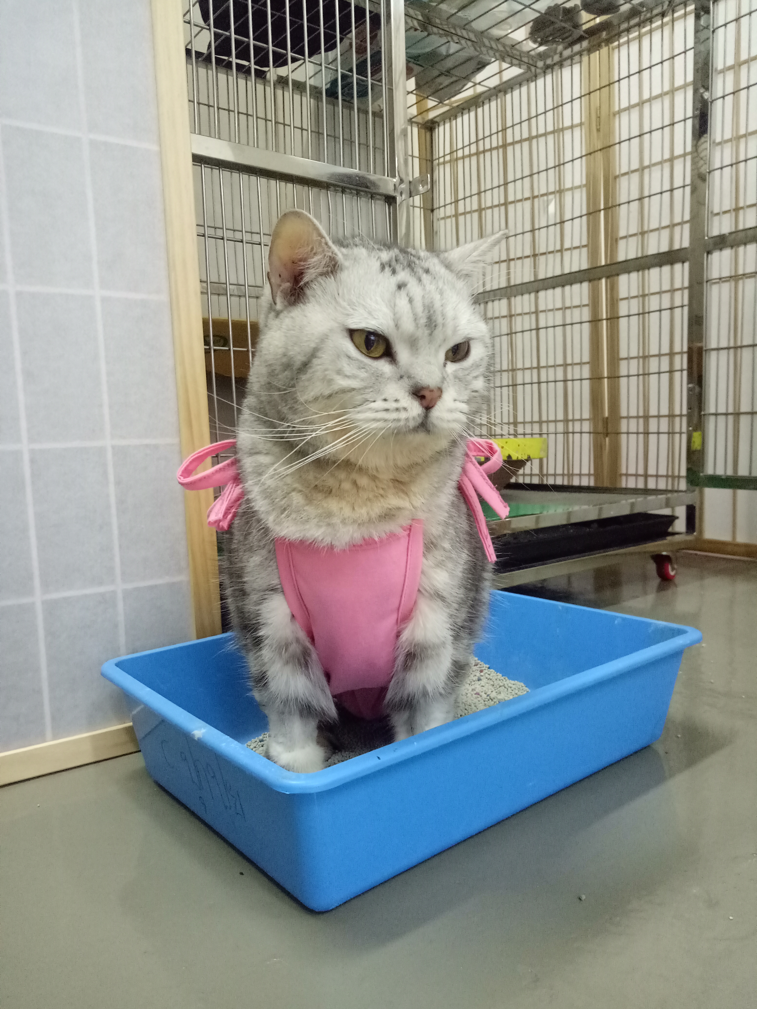 Prasert Manukit Animal Hospital