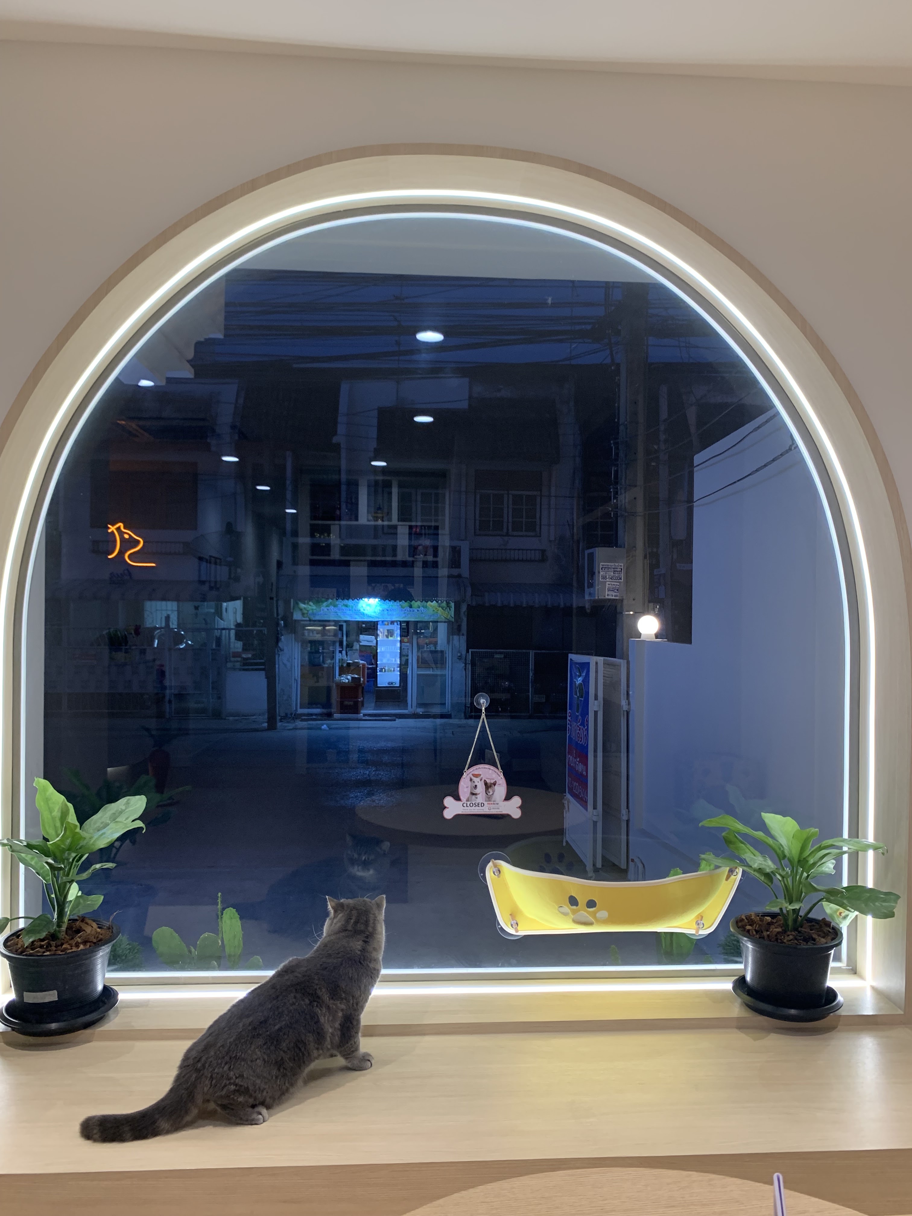 PurringVeterinaryClinic