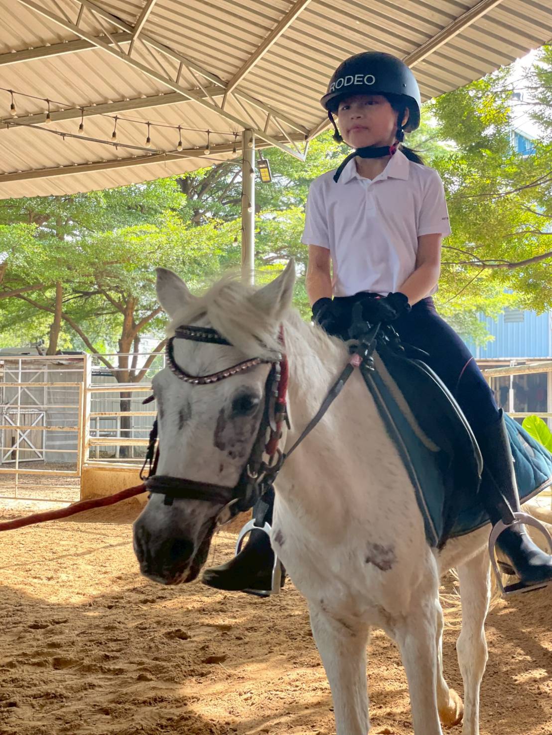 Rodeo Horse Riding BKK