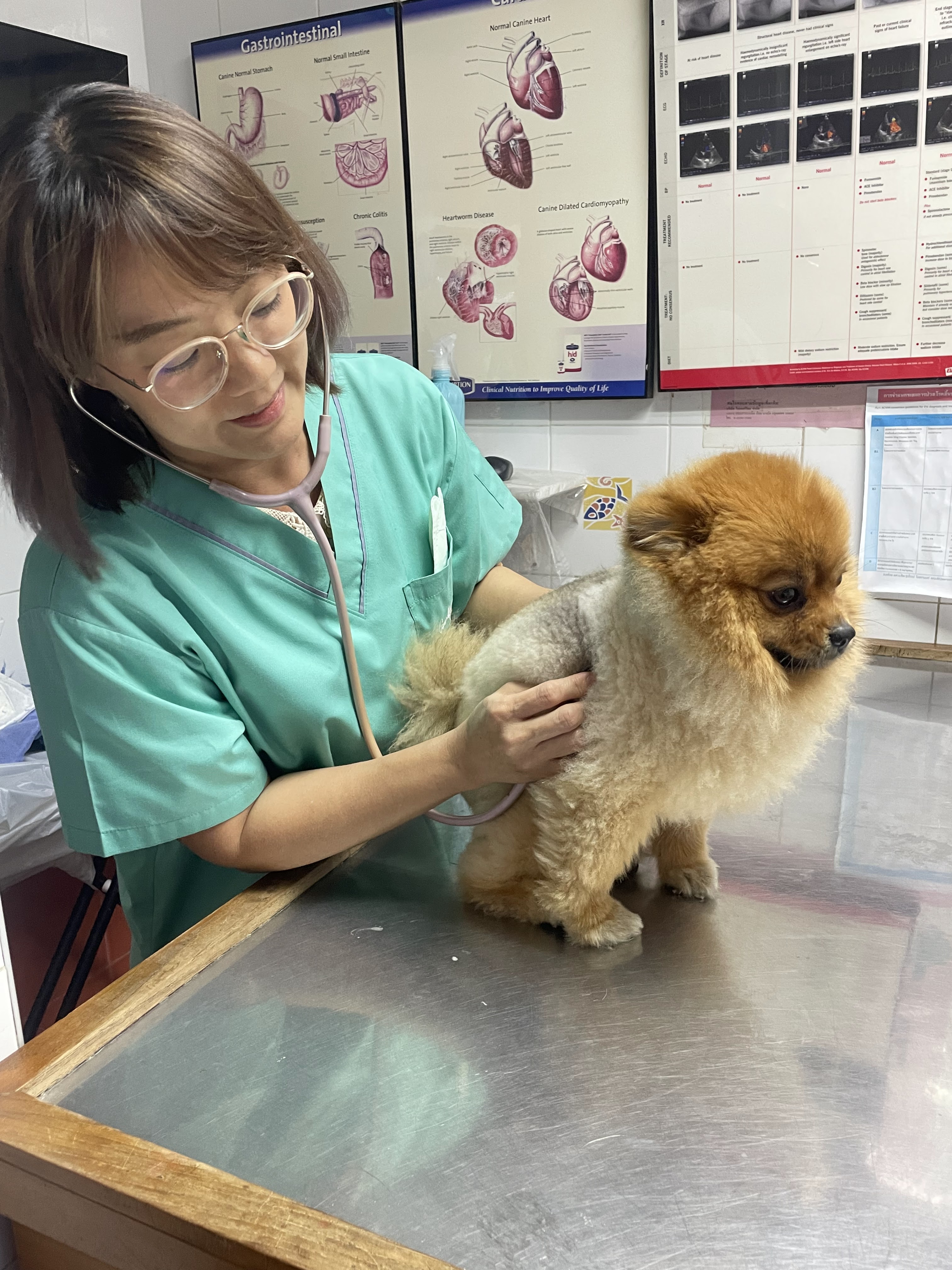 S. O. S. Animal Hospital