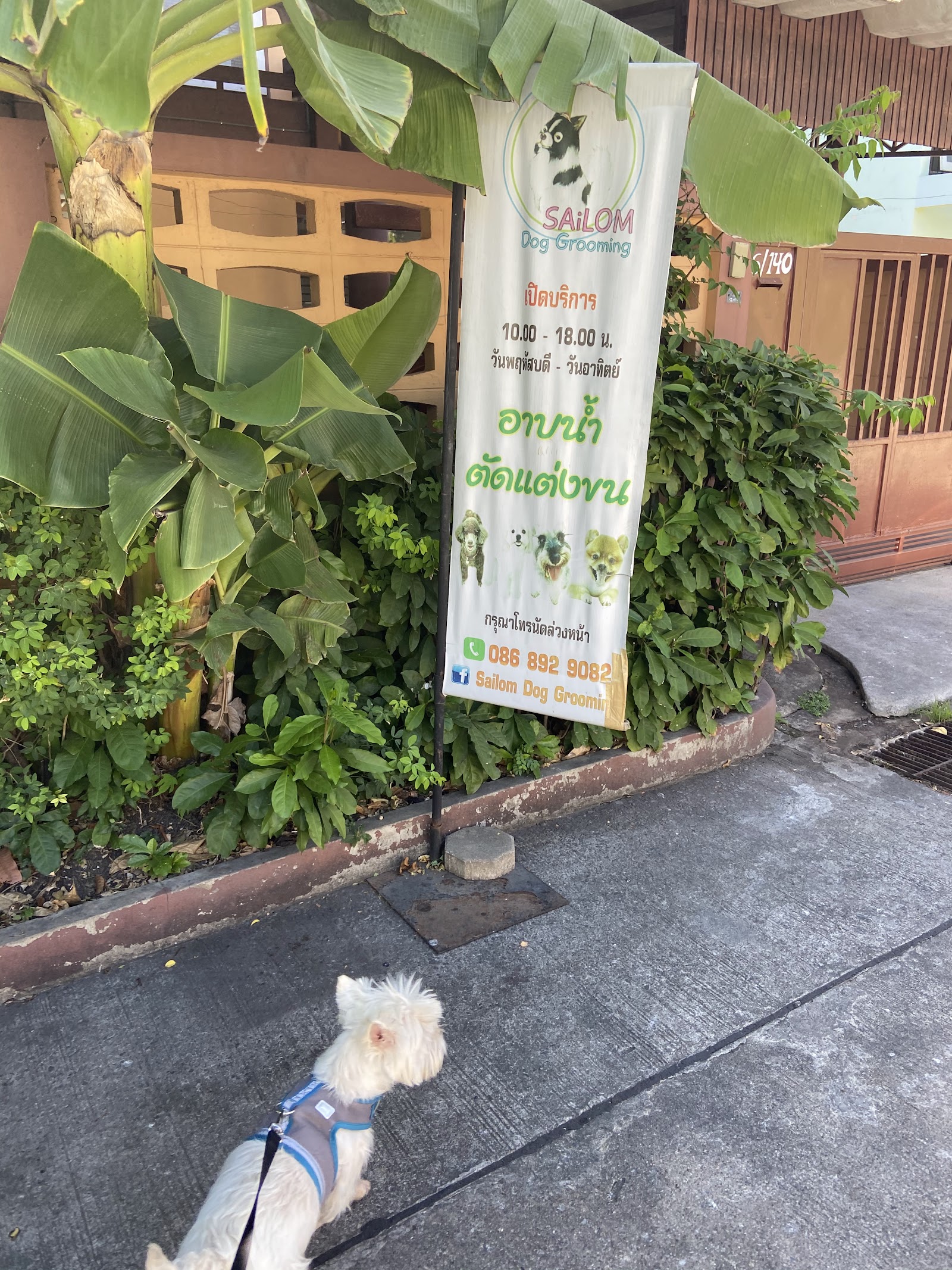 Sailom Dog Grooming