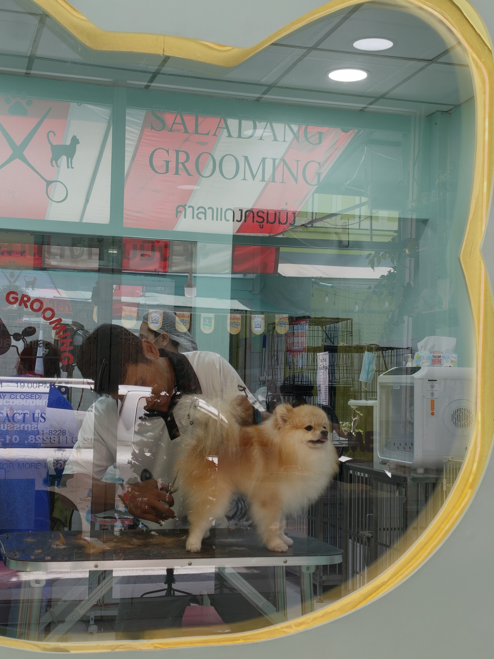 Sala Daeng Grooming