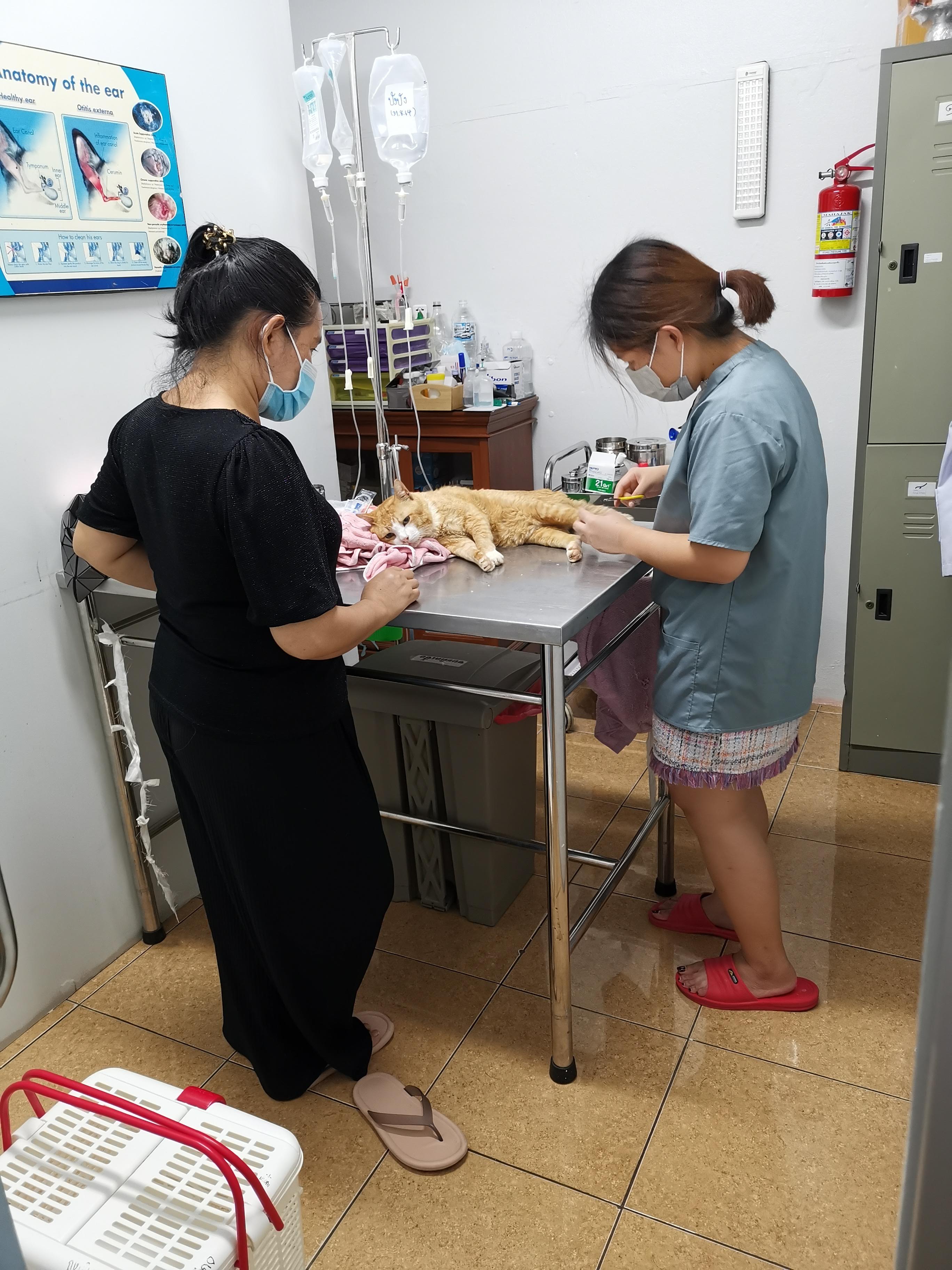 Sasin Vet Clinic