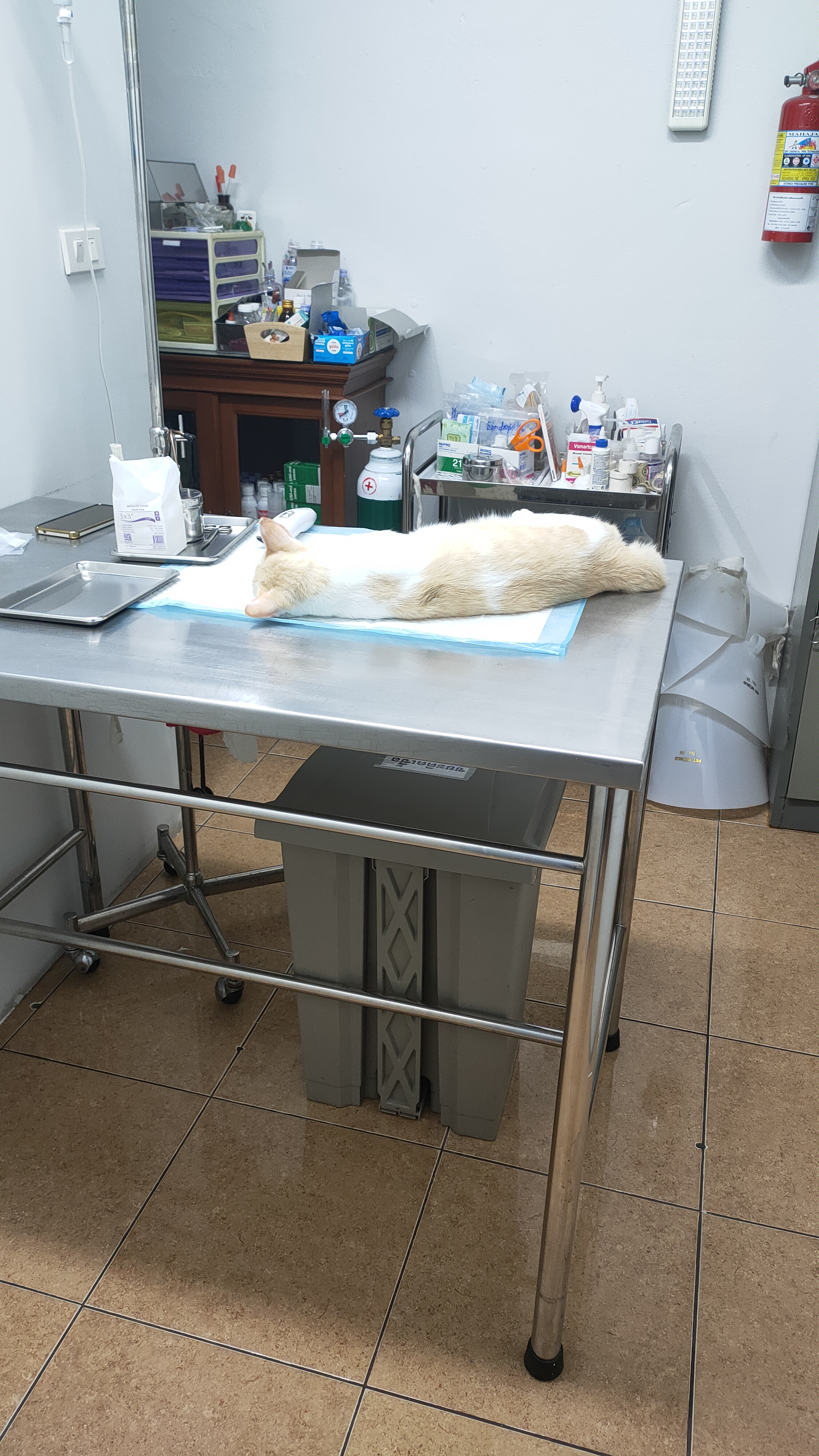 Sasin Vet Clinic