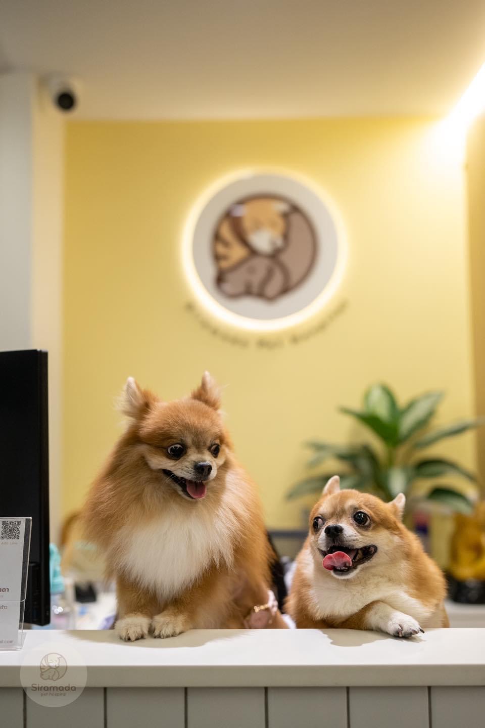 Siramada Pet Hospital