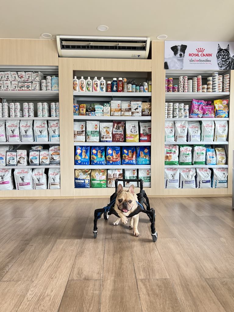 Skypet Animal Hospital