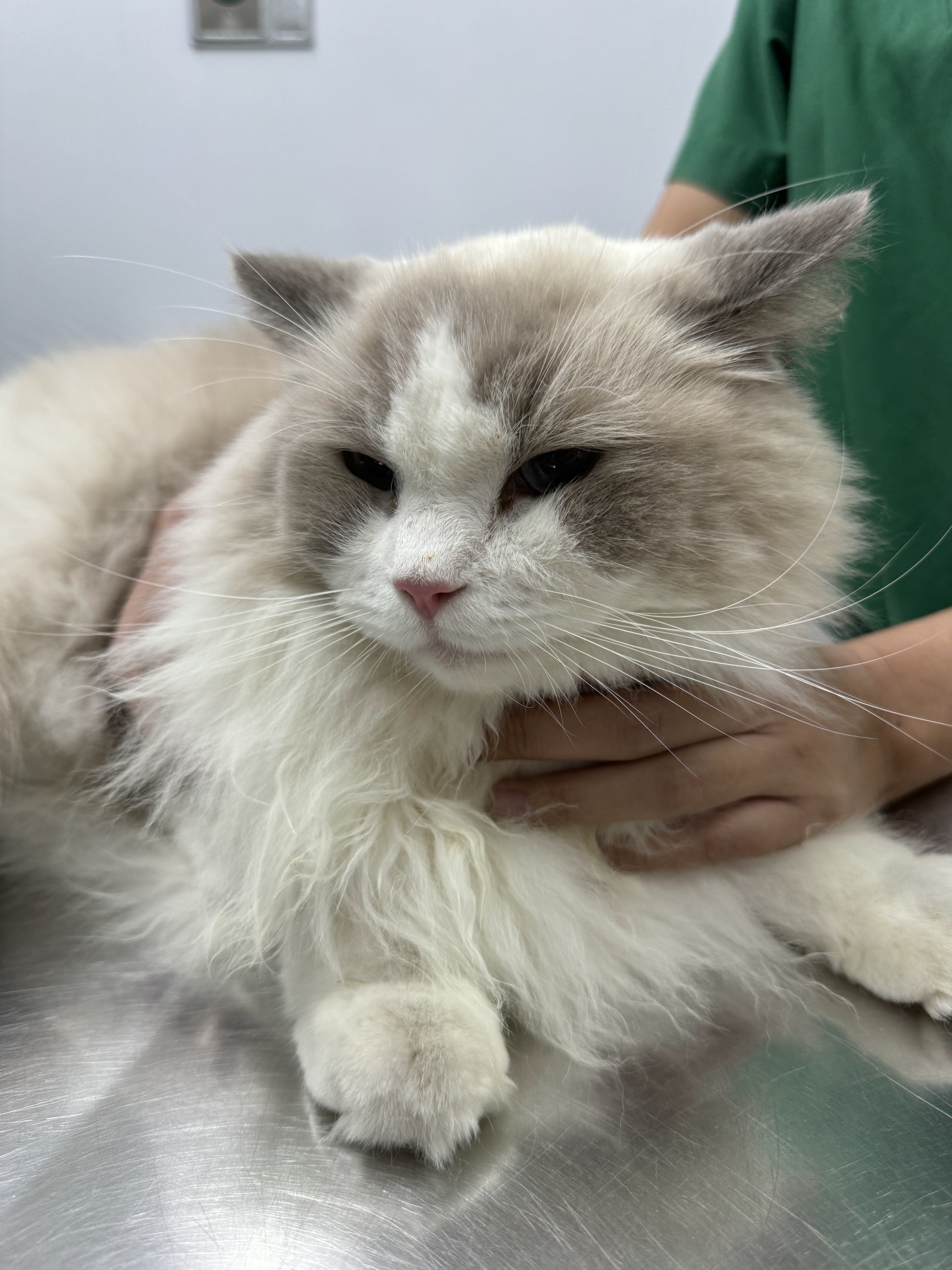 Suk Sawat Animal Hospital