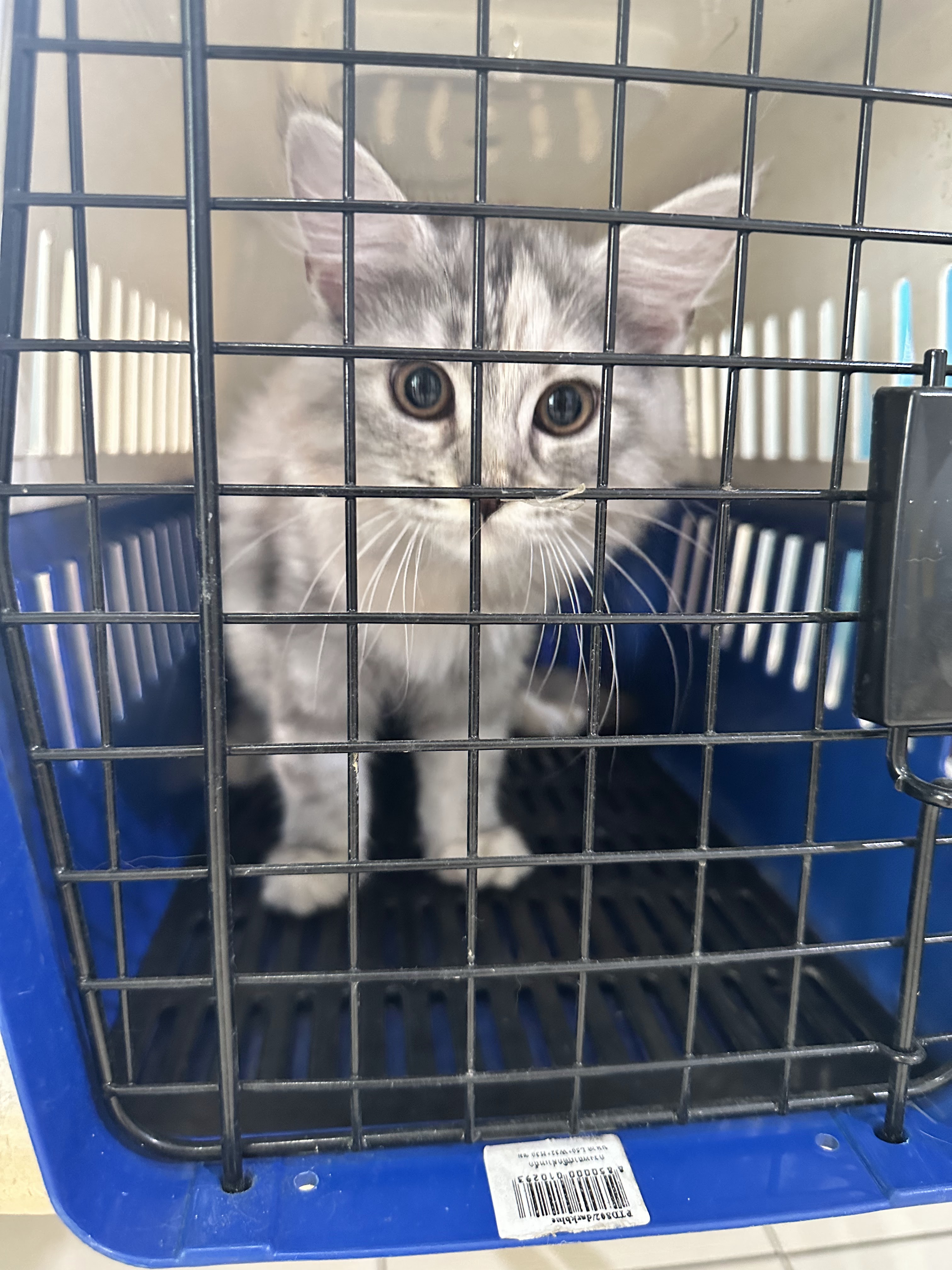 Taveerat Vet Clinic