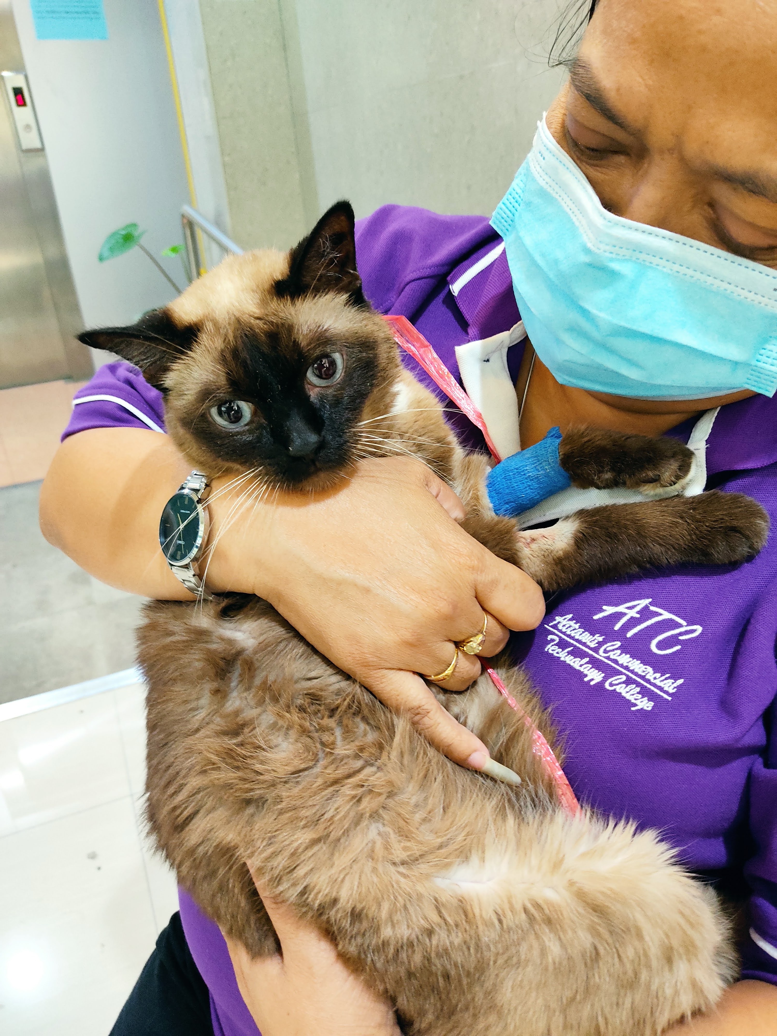 Teparuk Animal Hospital