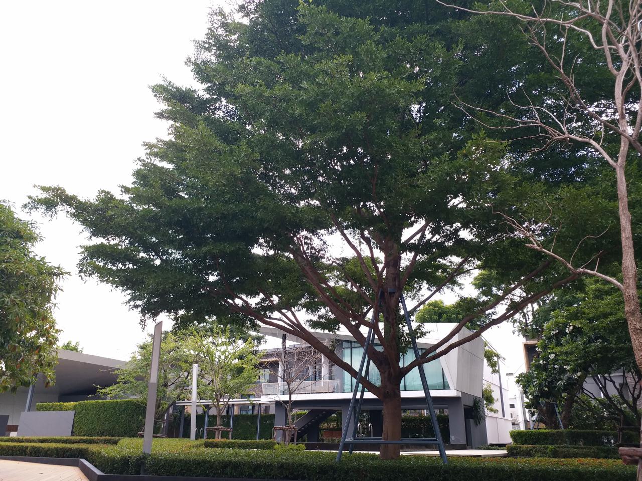 The Landmark