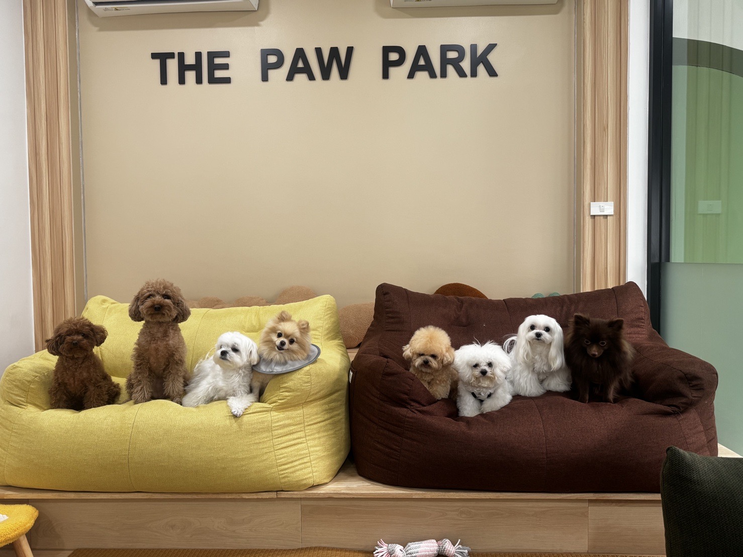 The Paw Park