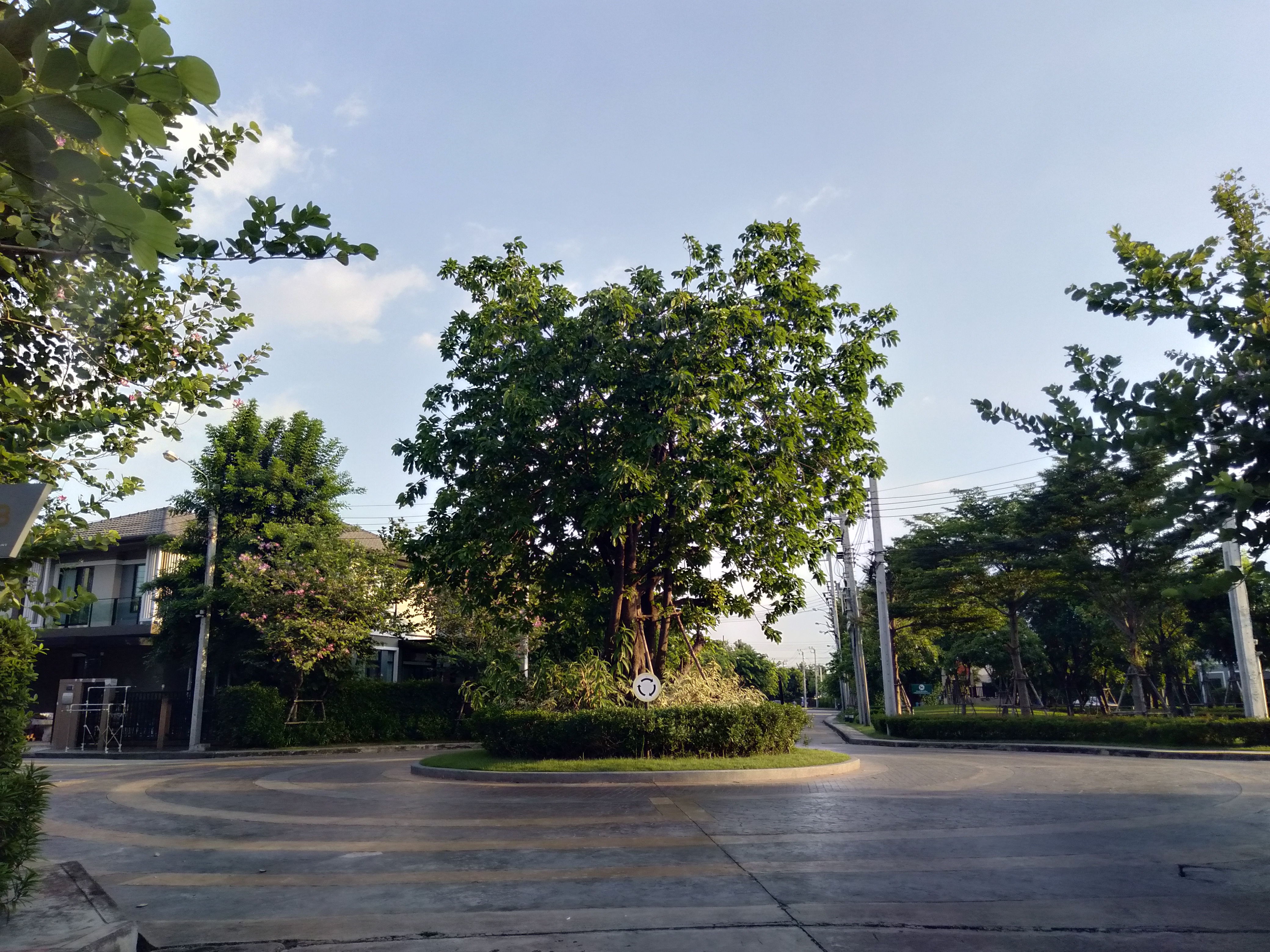 The Plant Exclusique Patthanakarn 38