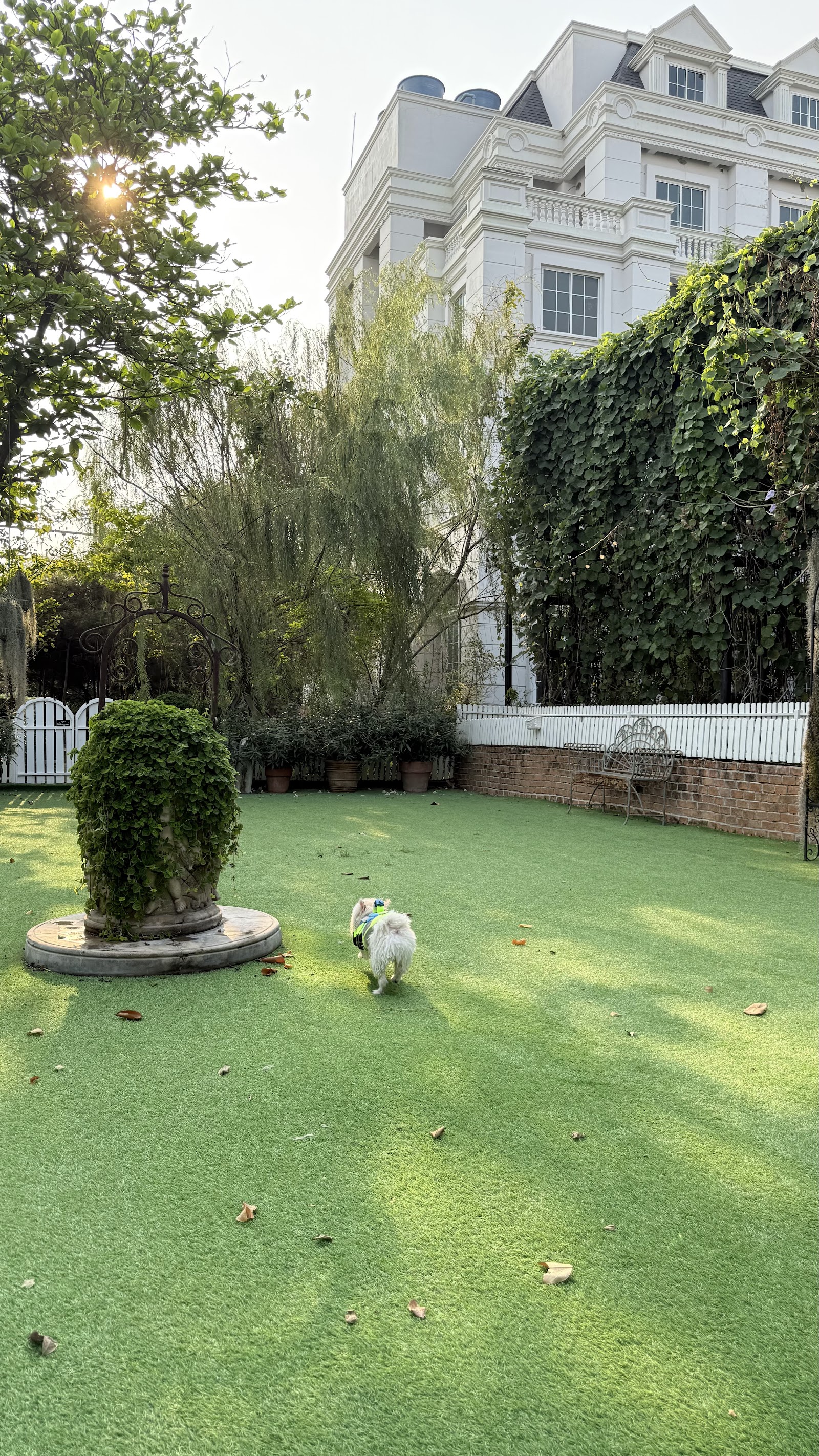 The Purich's Garden