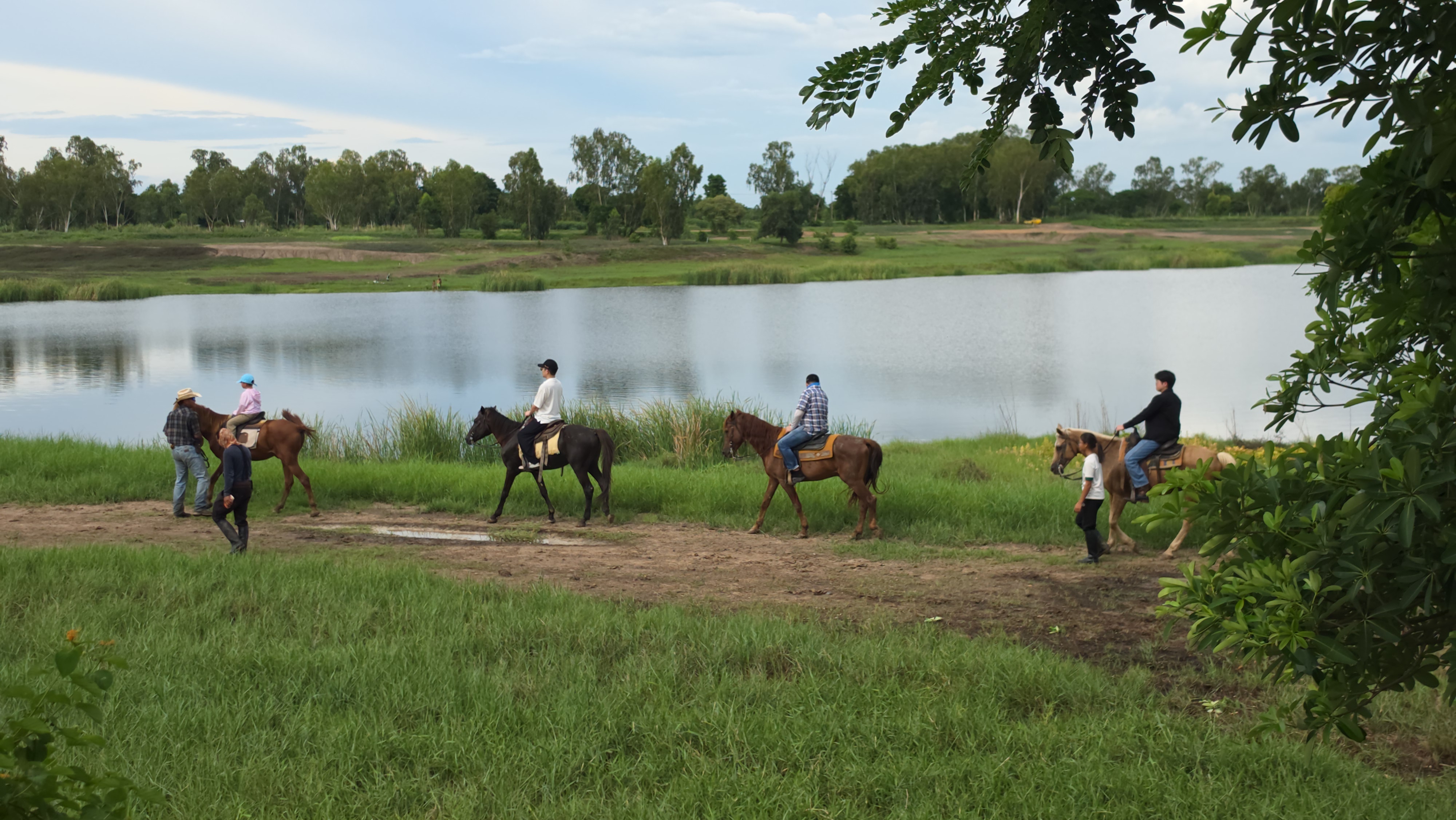 The Stallion Horse Riding Thailand