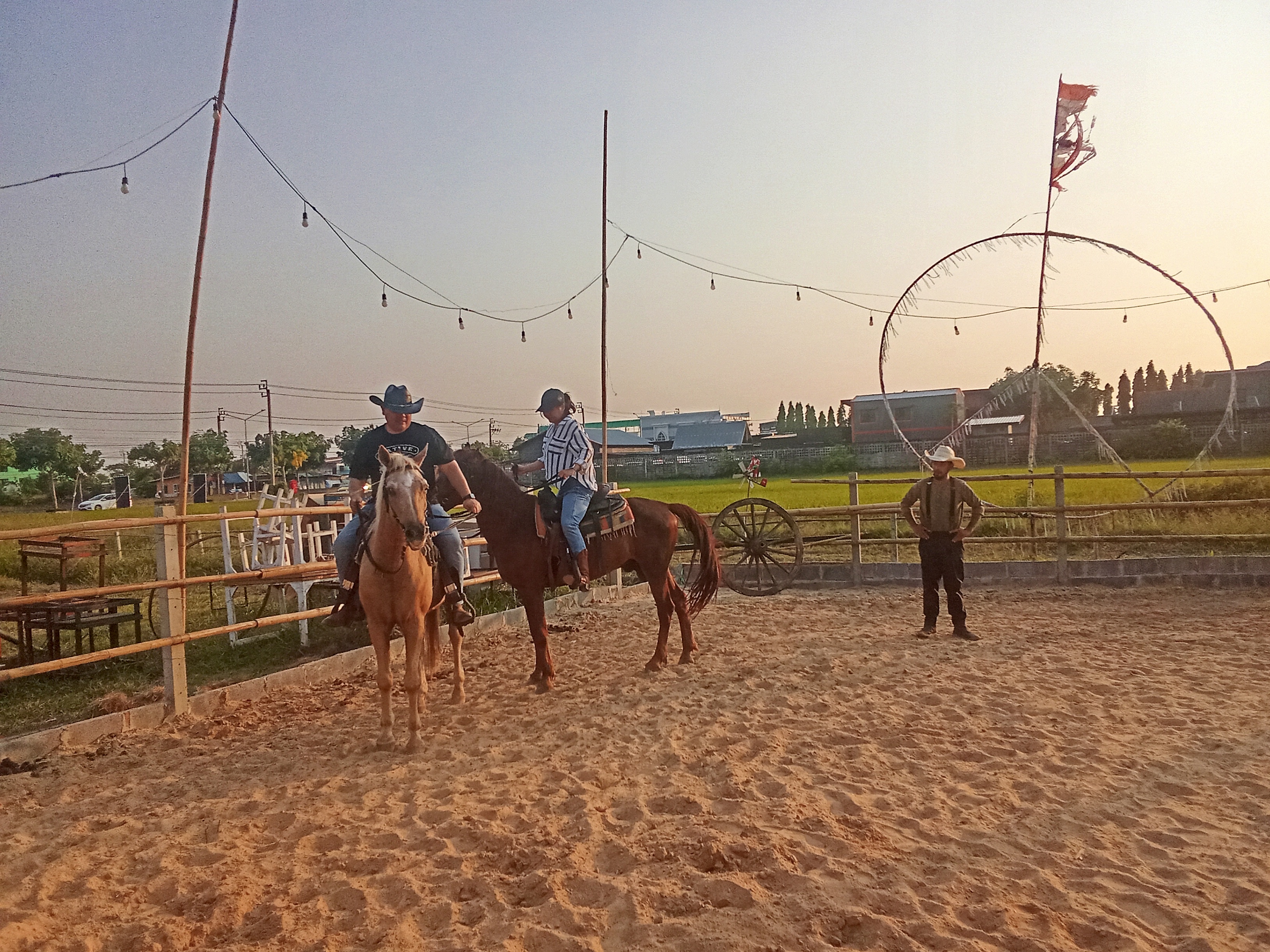The Stallion Horse Riding Thailand