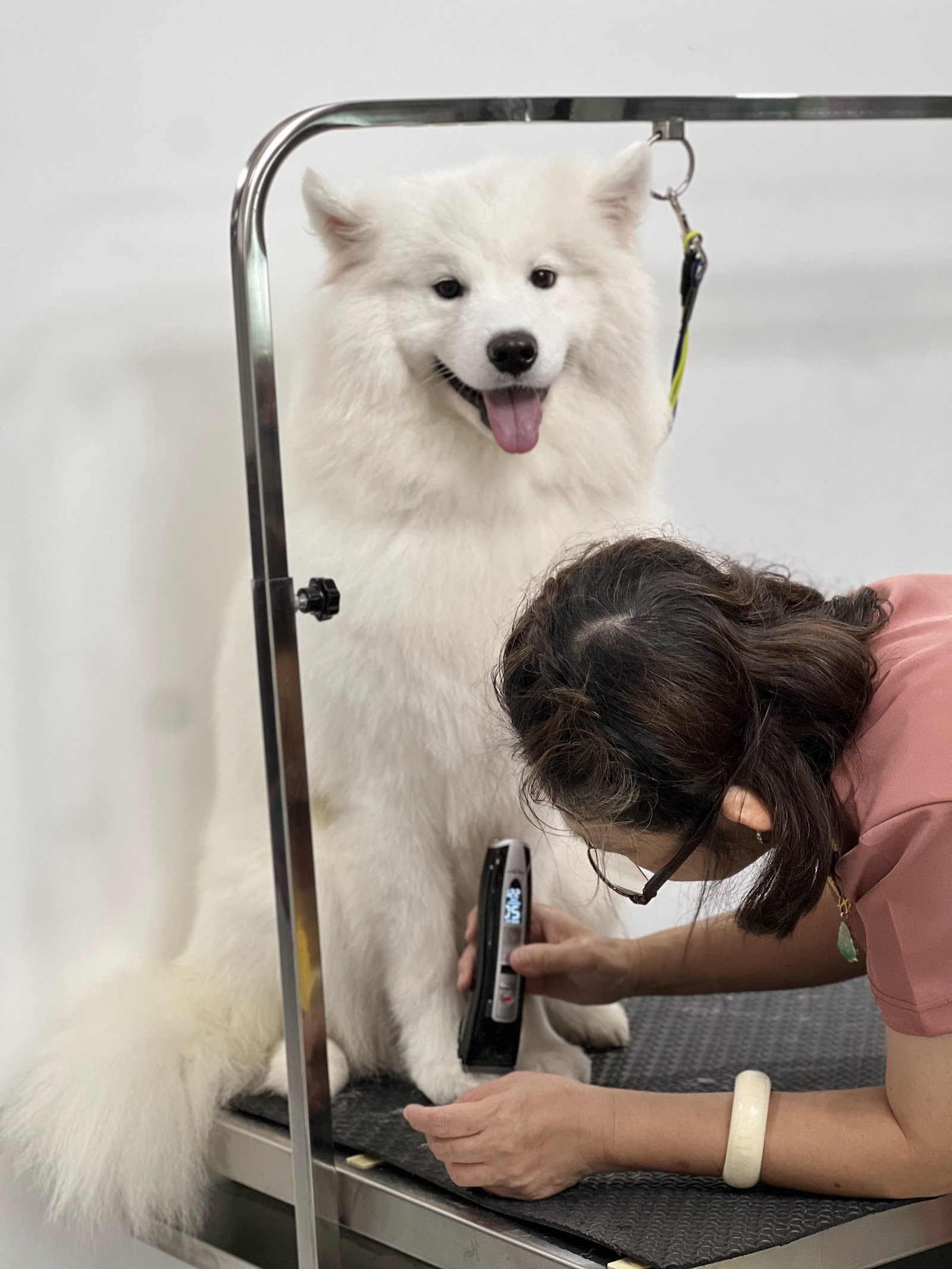 Tonson Grooming & Boarding