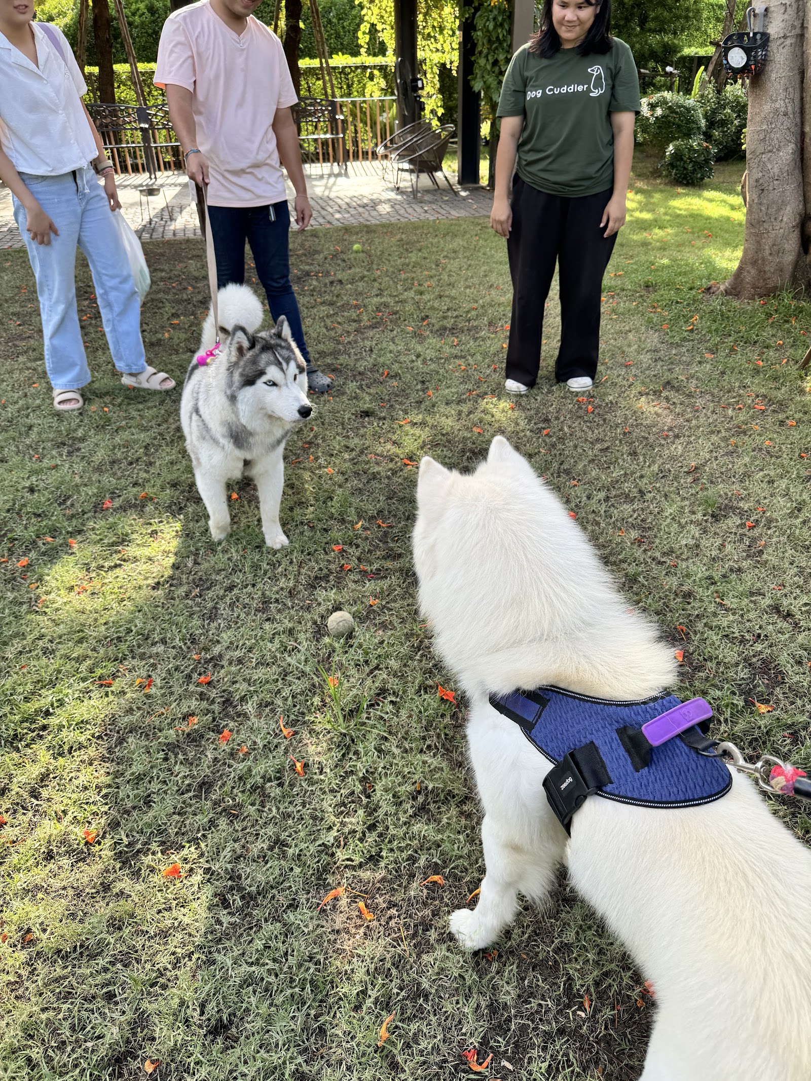 Trail and Tail