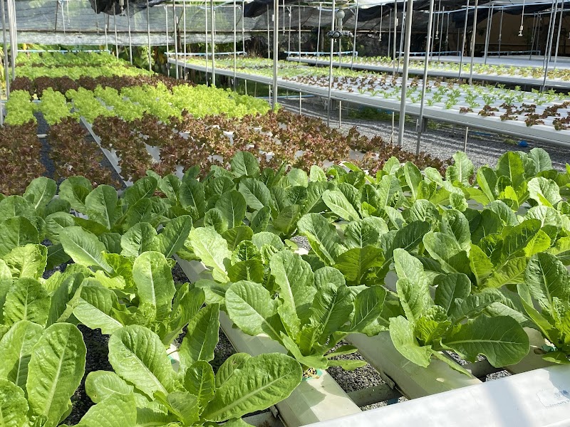 Waan Grob Farm & Cafe