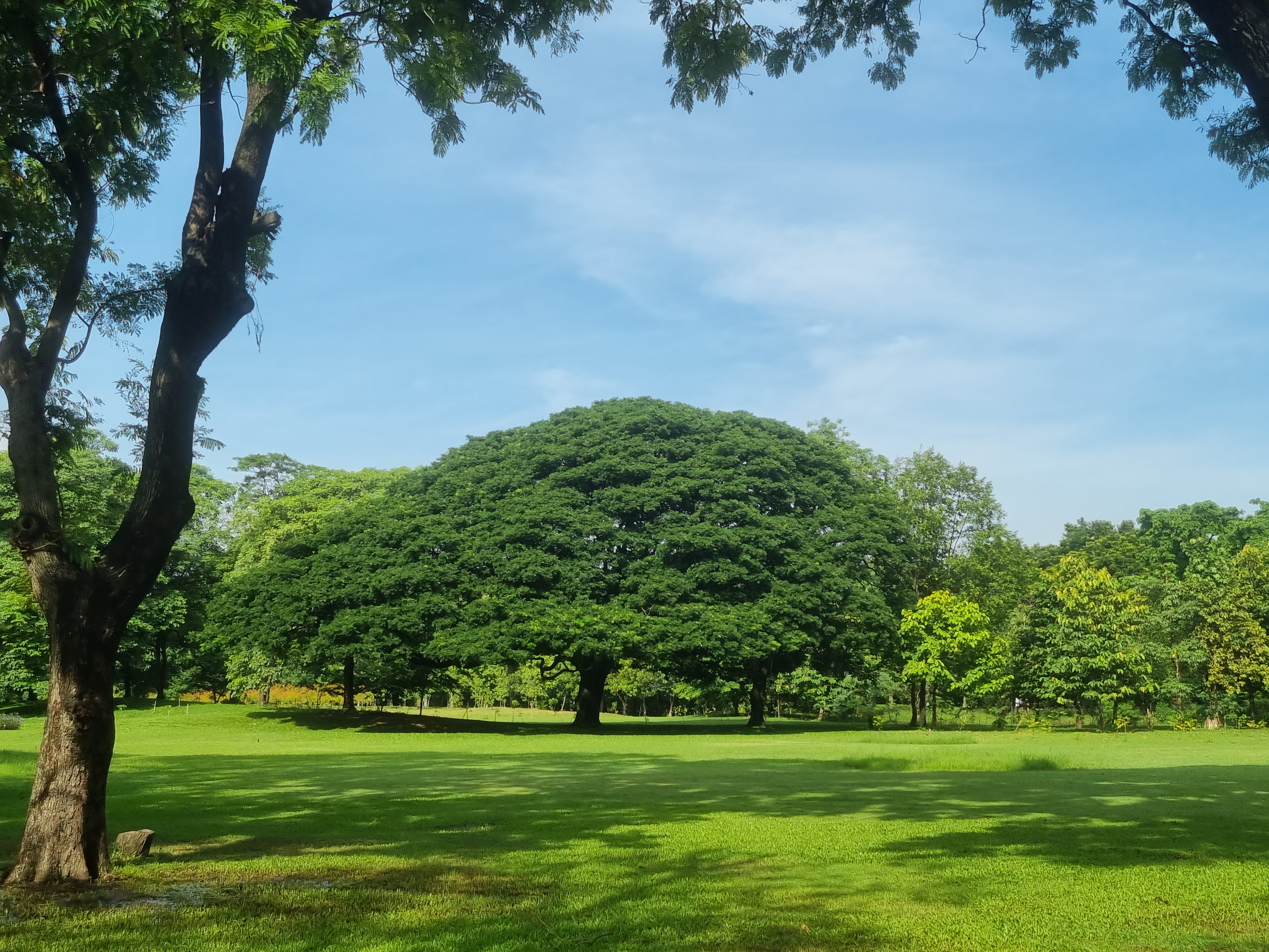 Wachirabenchathat Park (State Railway Park)