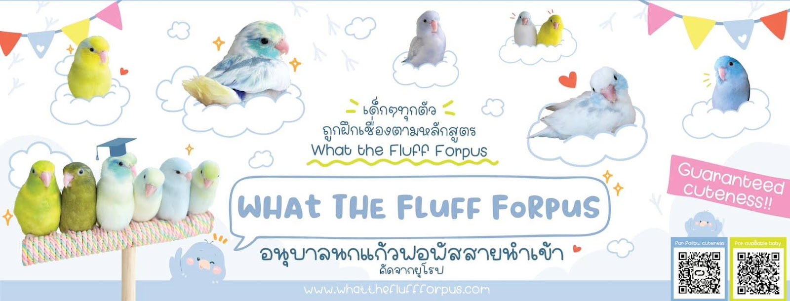 What The Fluff Forpus