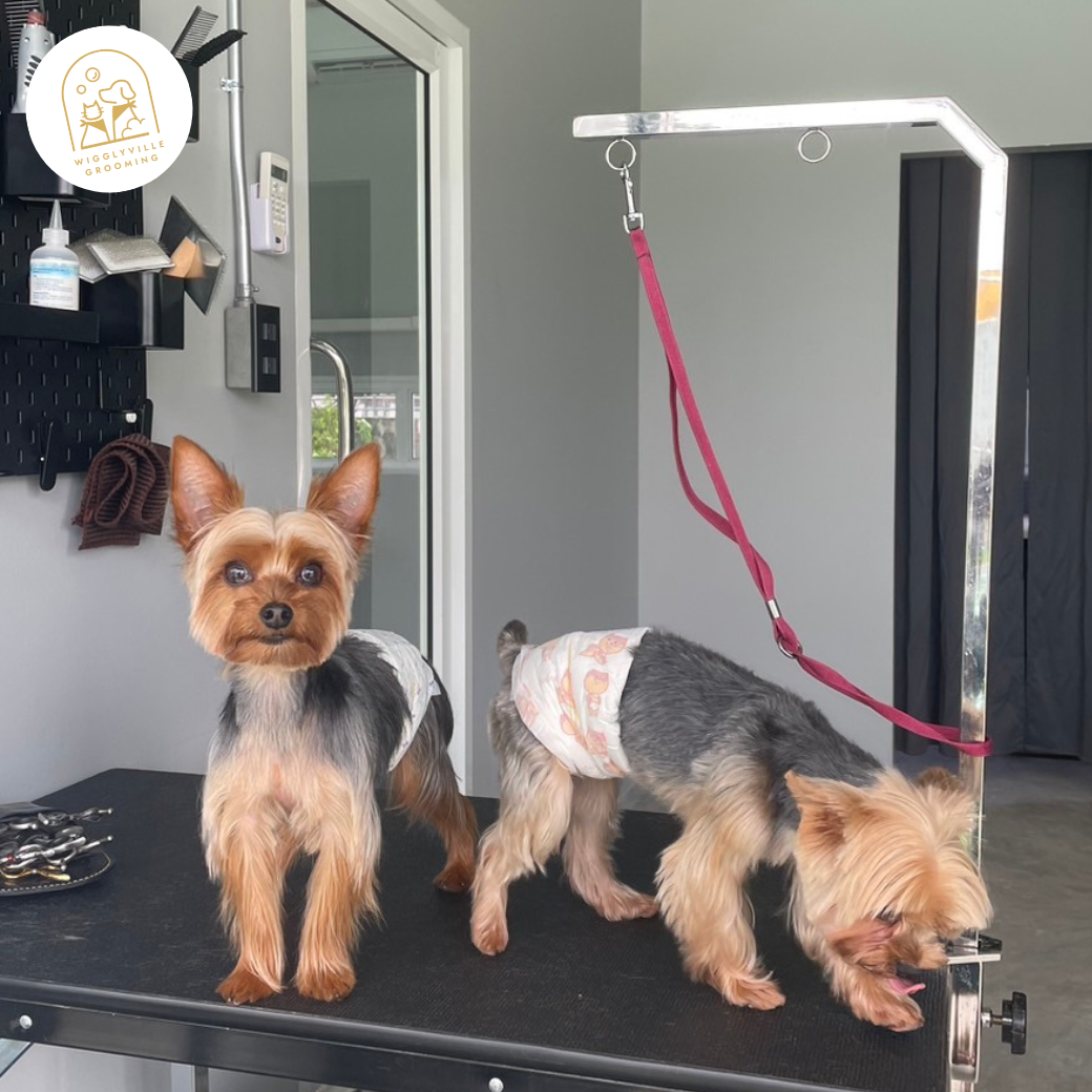 Wigglyville Grooming