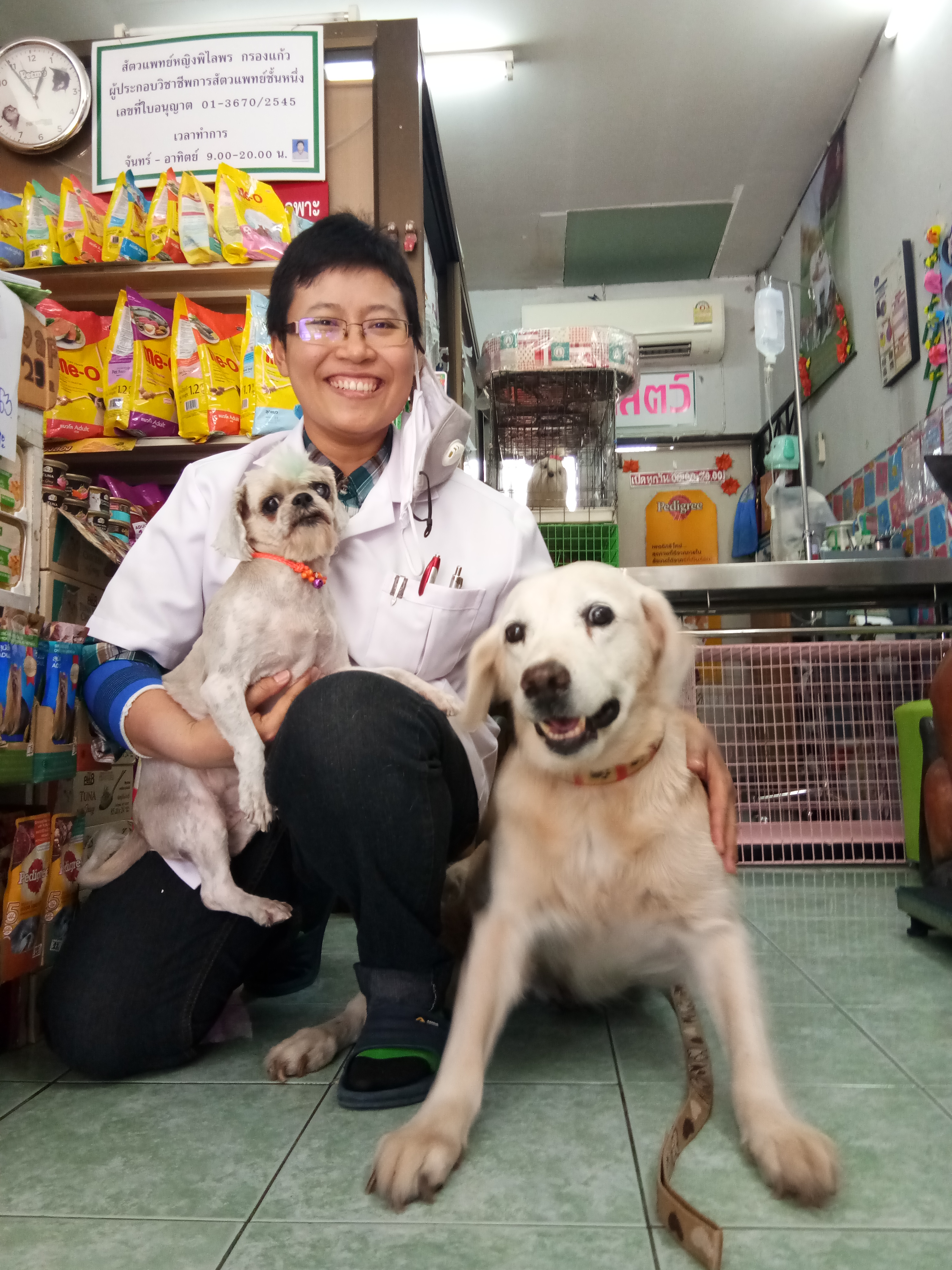 Four-legged veterinary house