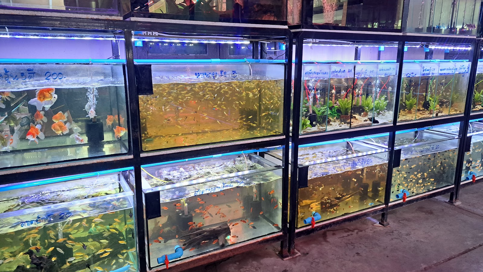 Andaman Aquarium