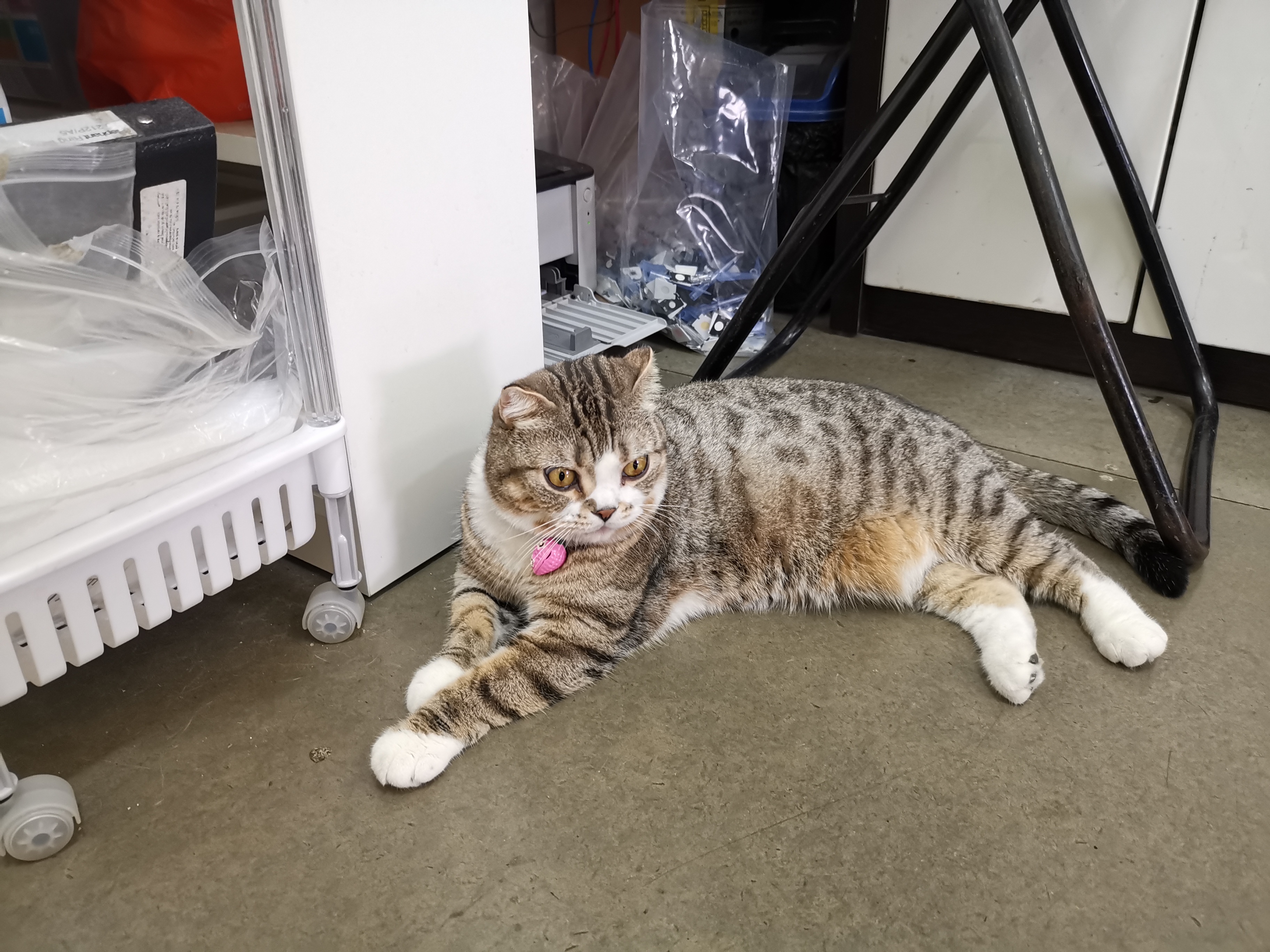 BANN HUG SUD Animal Clinic