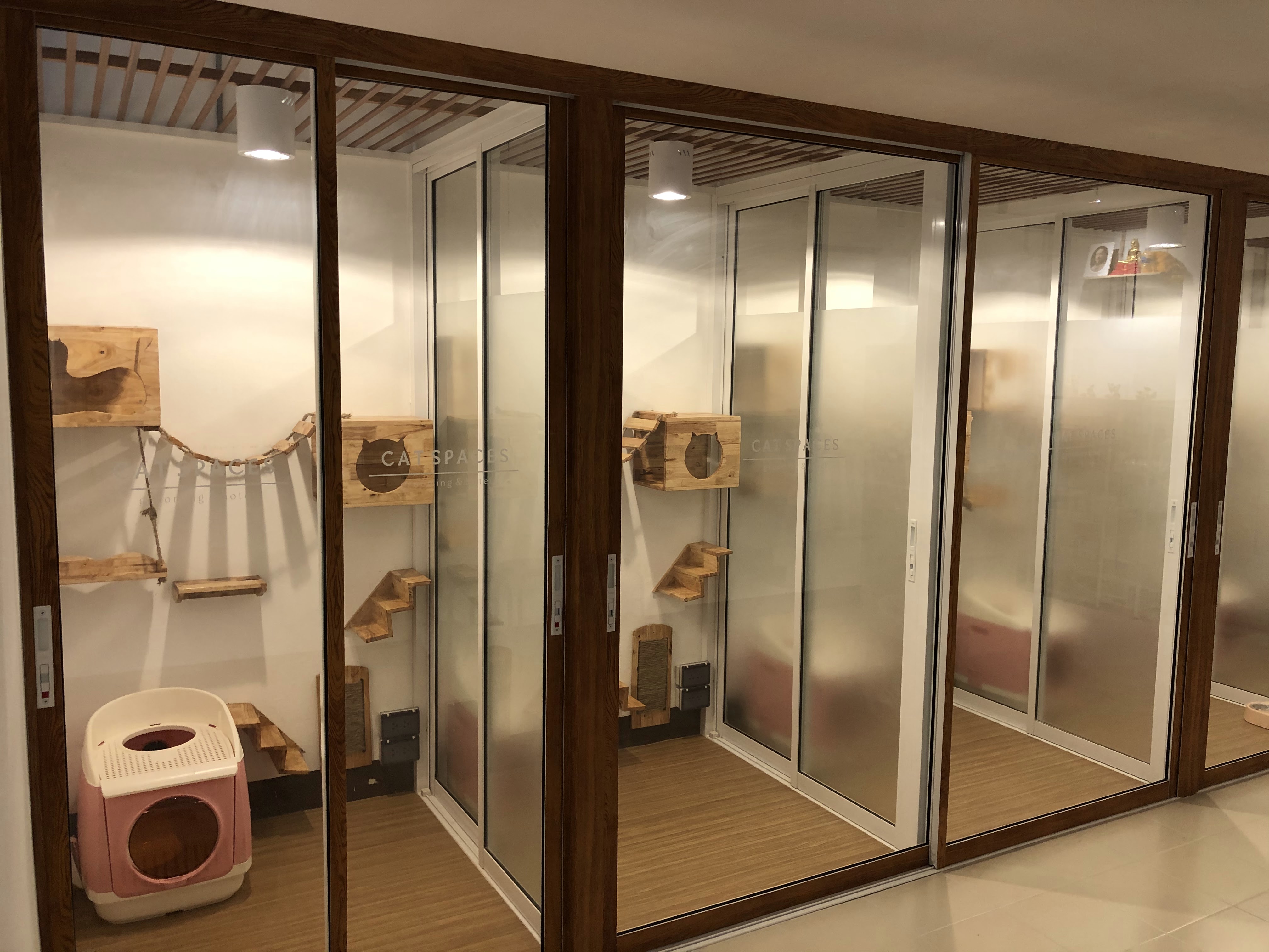 Cat Spaces Grooming & Hotel Chiang Mai