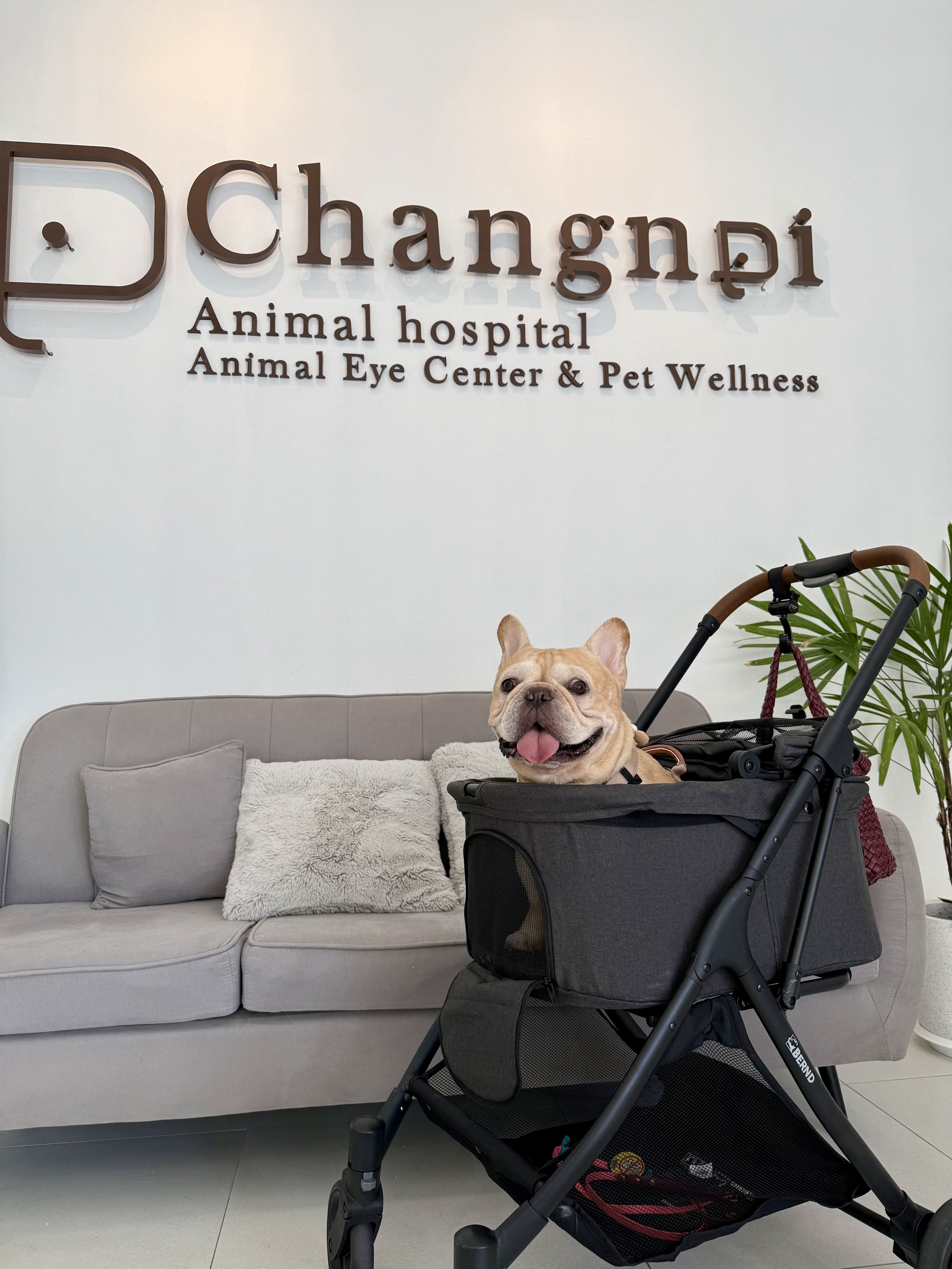 Changnoi Animal Hospital : Animal Eye Center & Pet Wellness