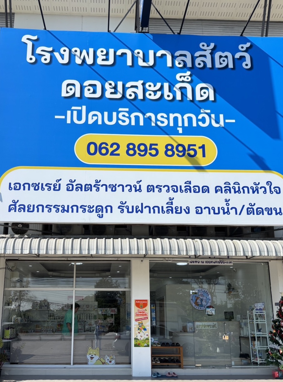 Doisaket animal hospital