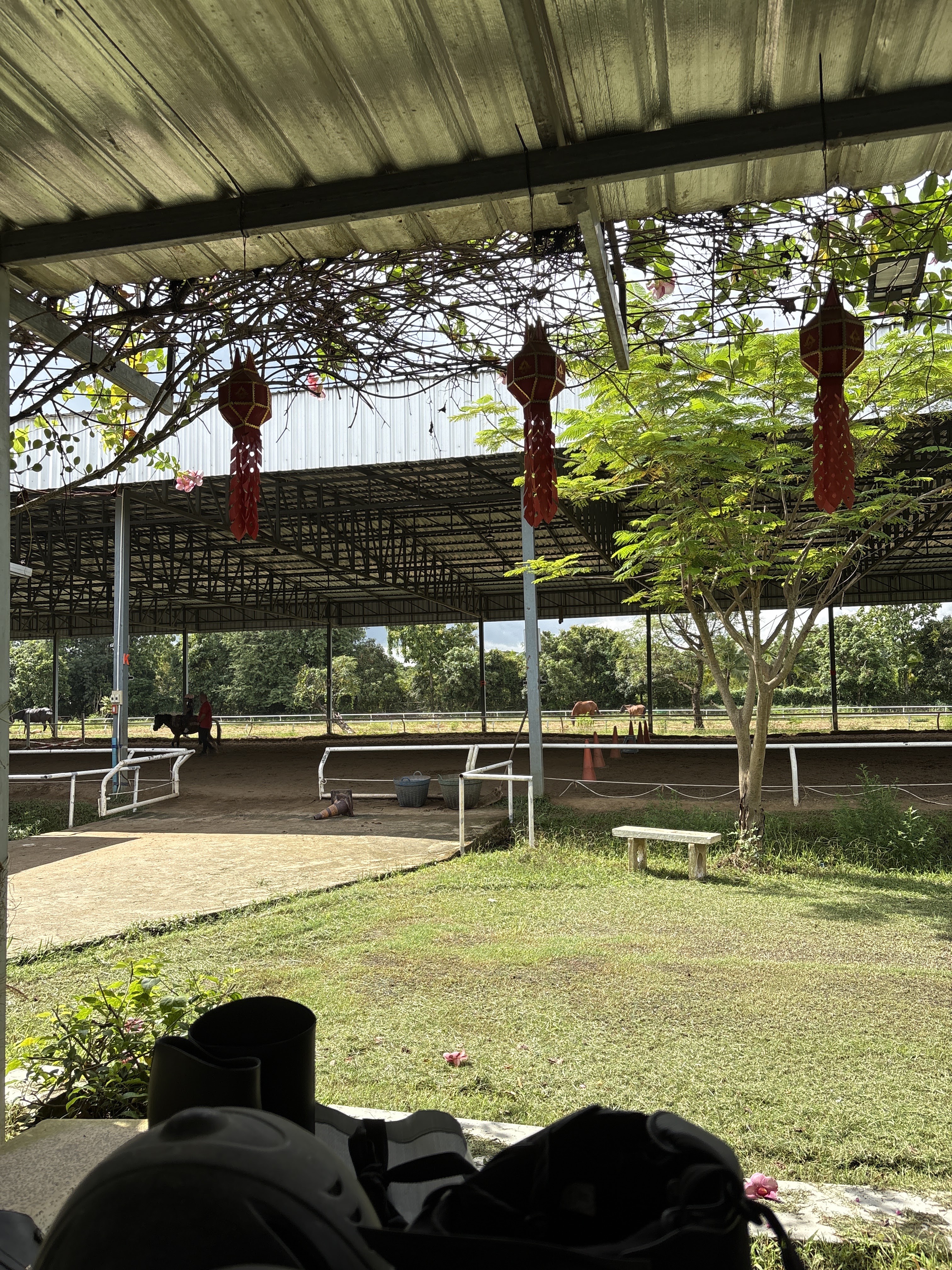 Equestrian Education Center Chiang Mai