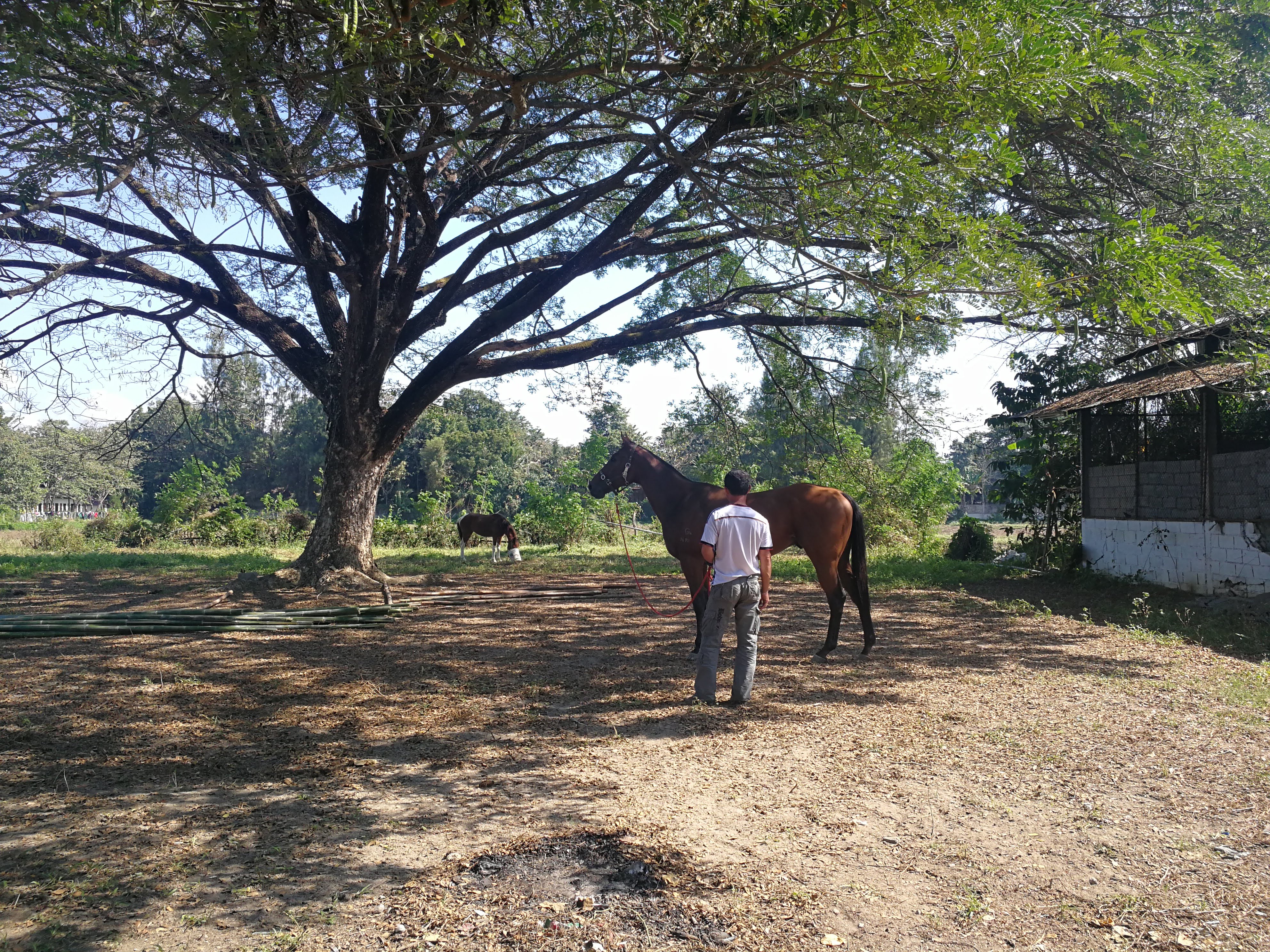 Fresh Start Barn & Equestrian Centre