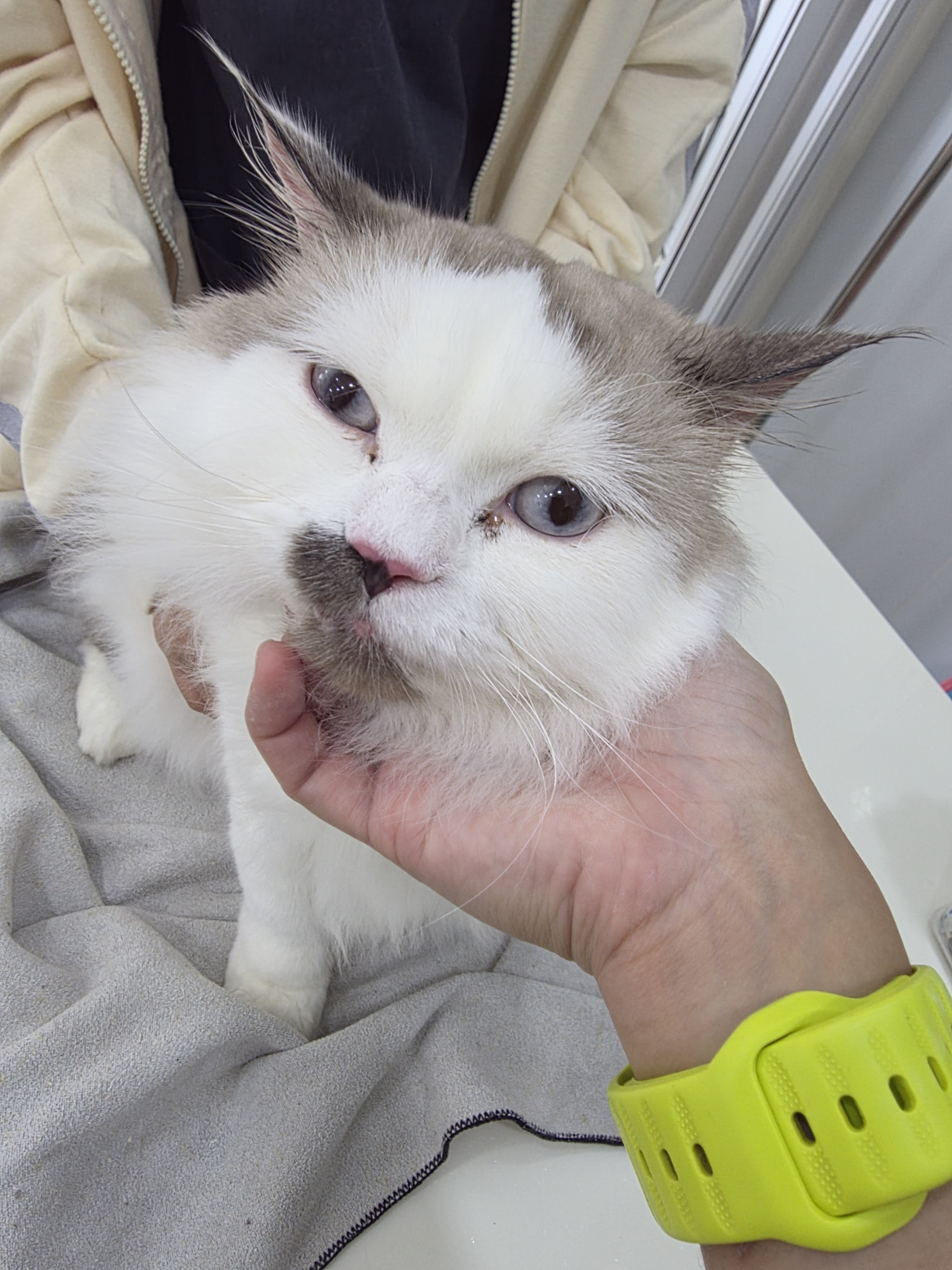 Hugme Pet Clinic