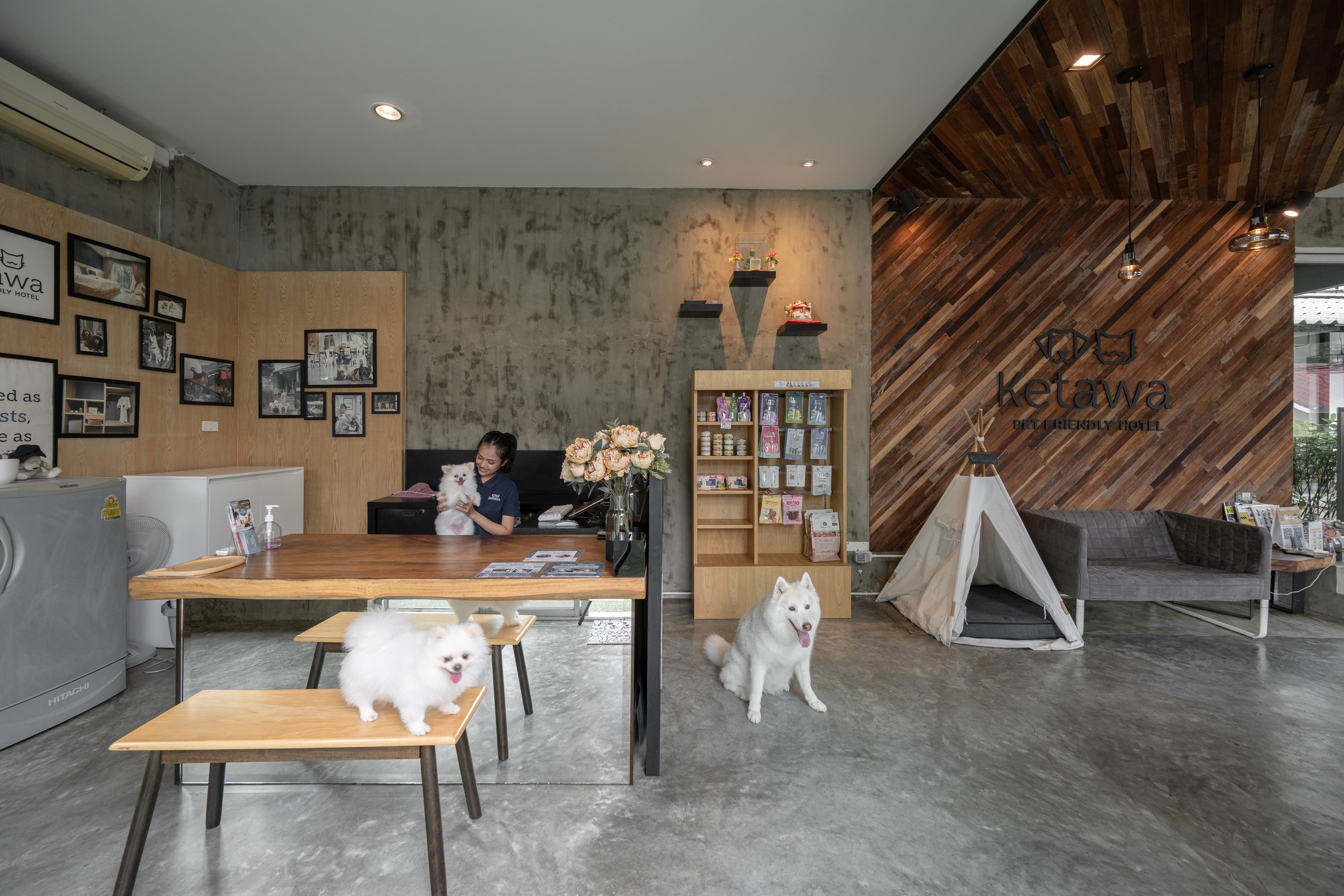 Ketawa Pet Friendly Hotel and Cafe