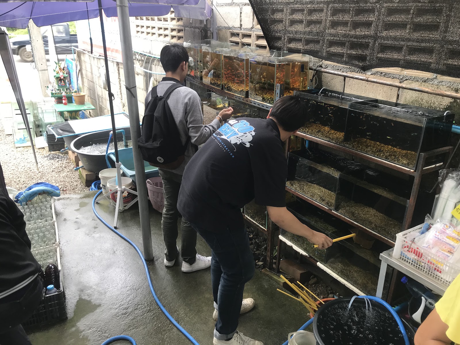 Maejo Aquatic CNX