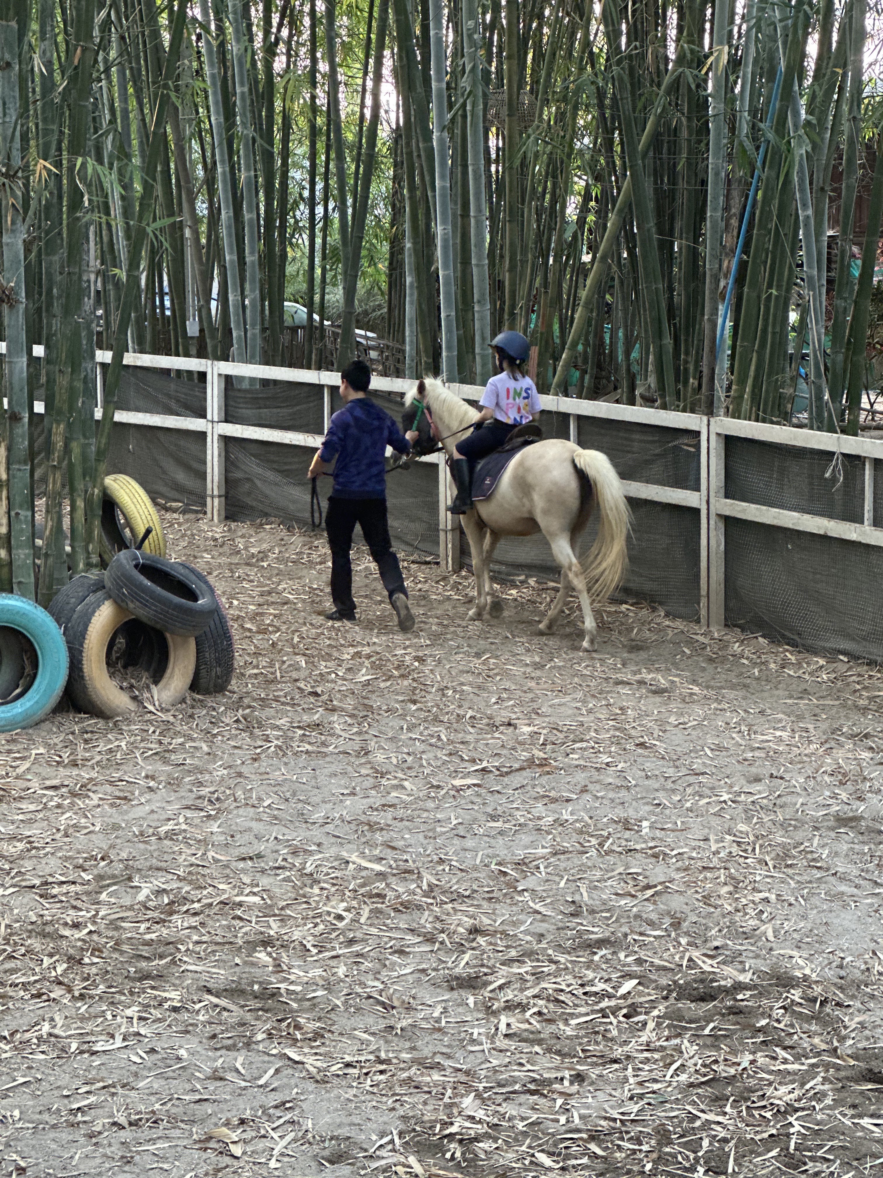 Montana Horse riding school