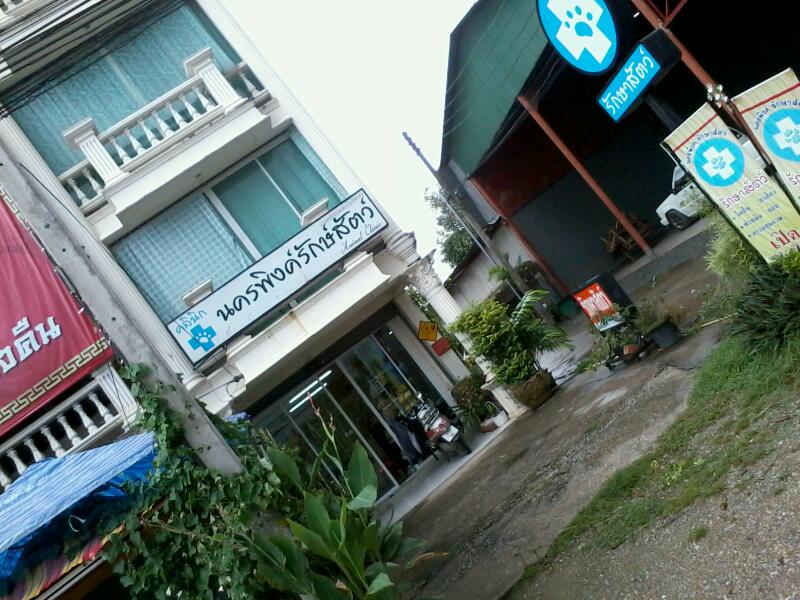 Nakornping animal clinic