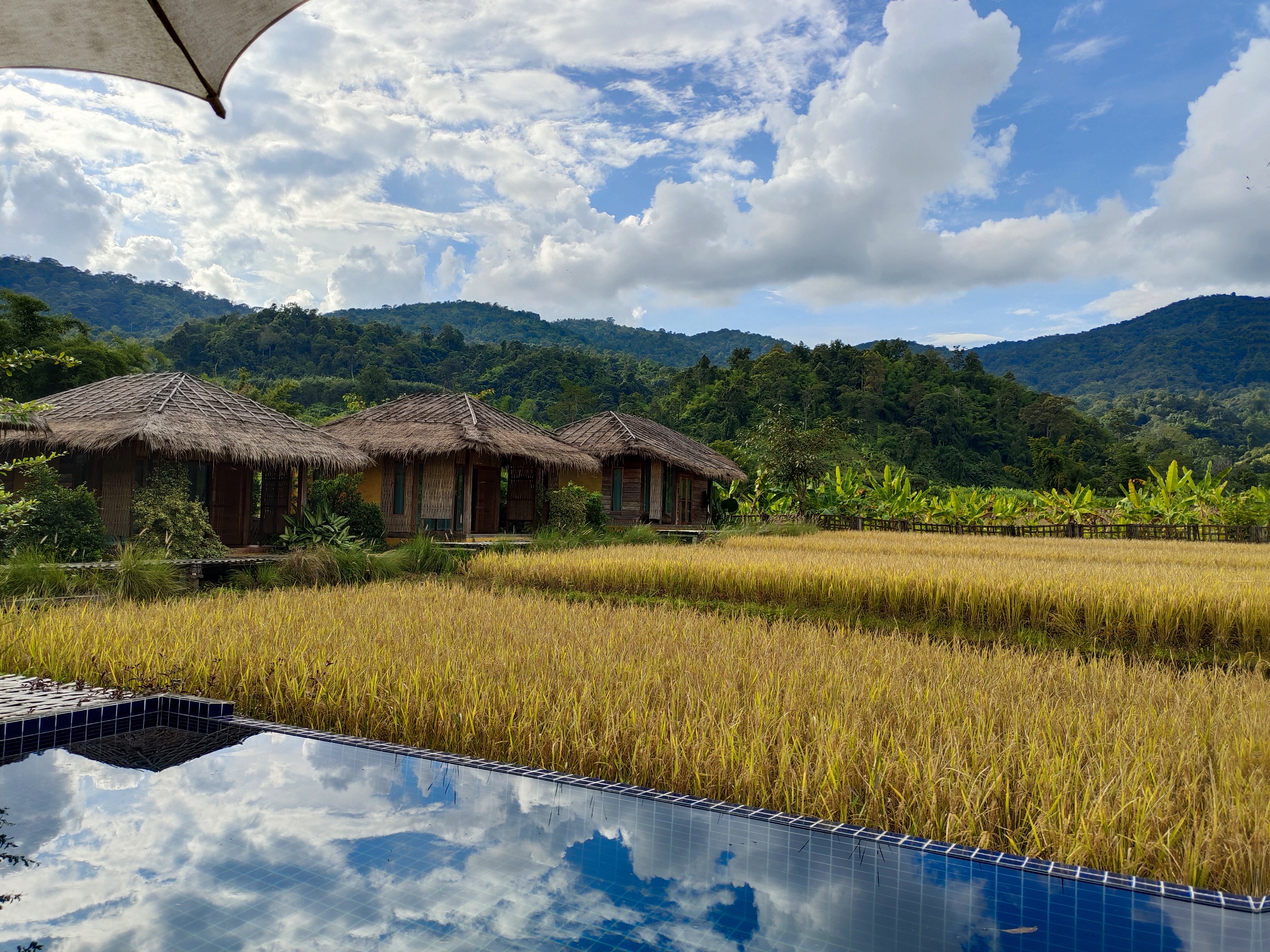 Natu Hut Farmstay & Cafe