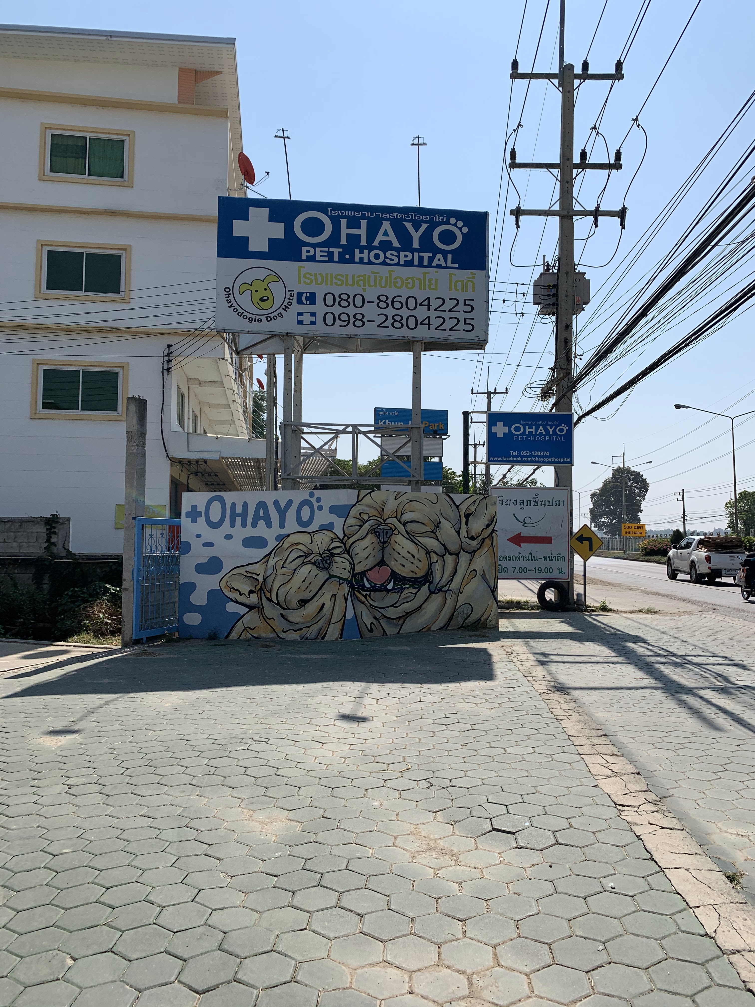 Ohayo Pet Hospital