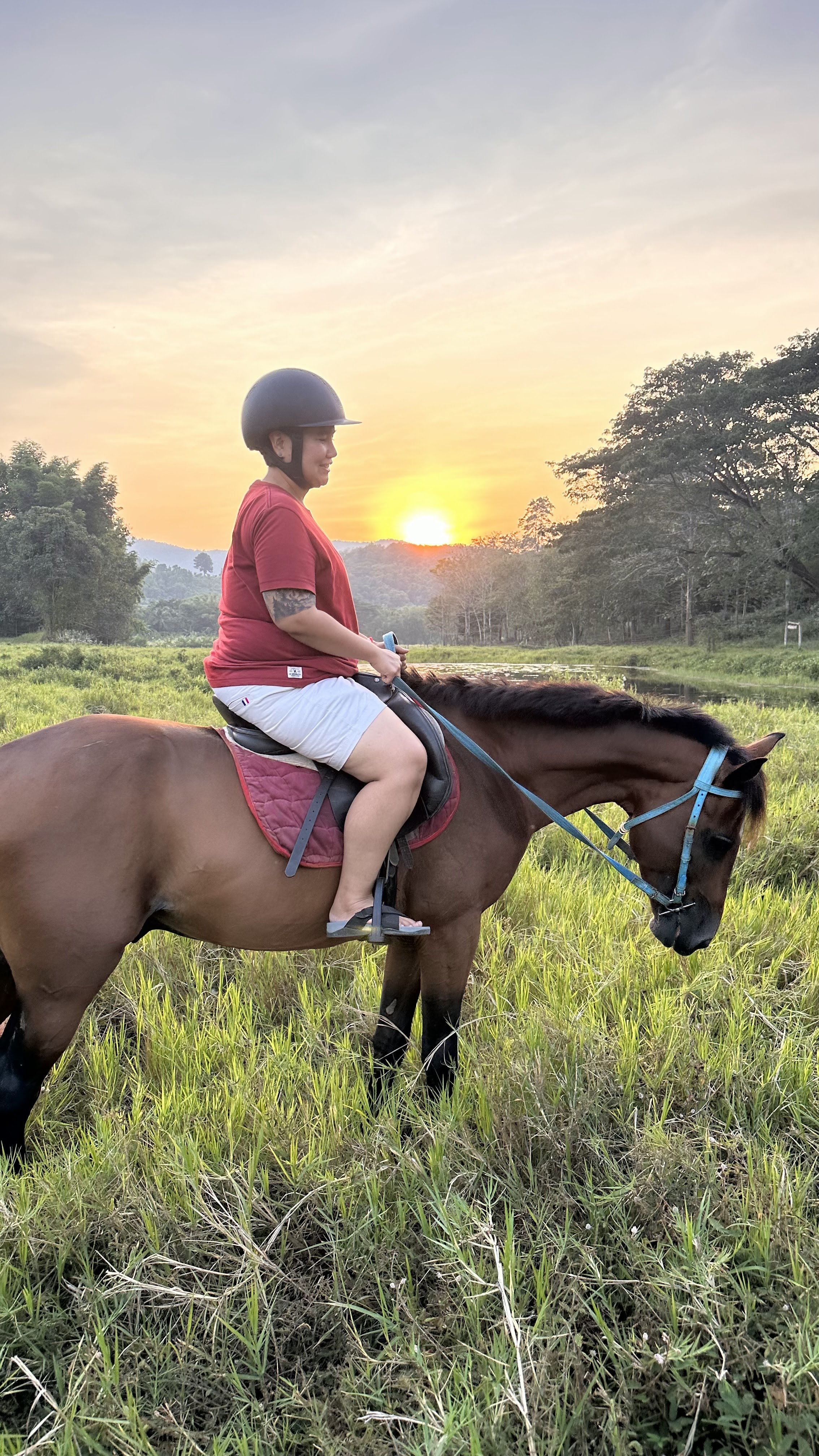 On Horse Farm Chiang Mai