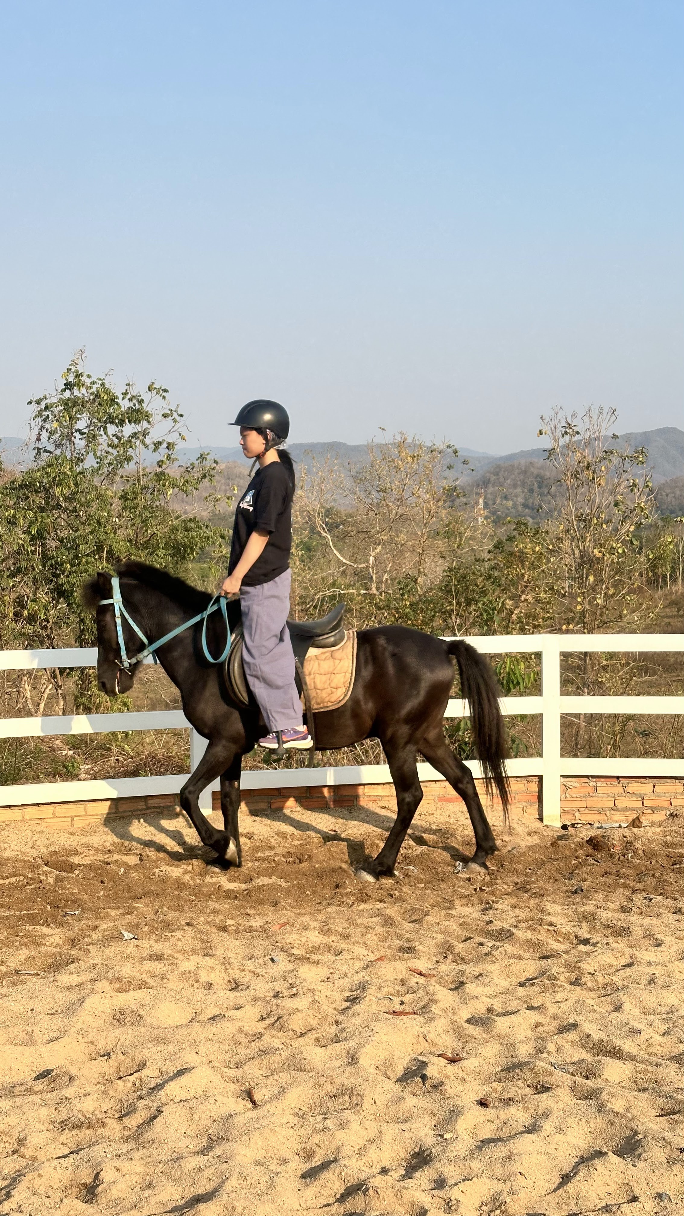 On Horse Farm Chiang Mai