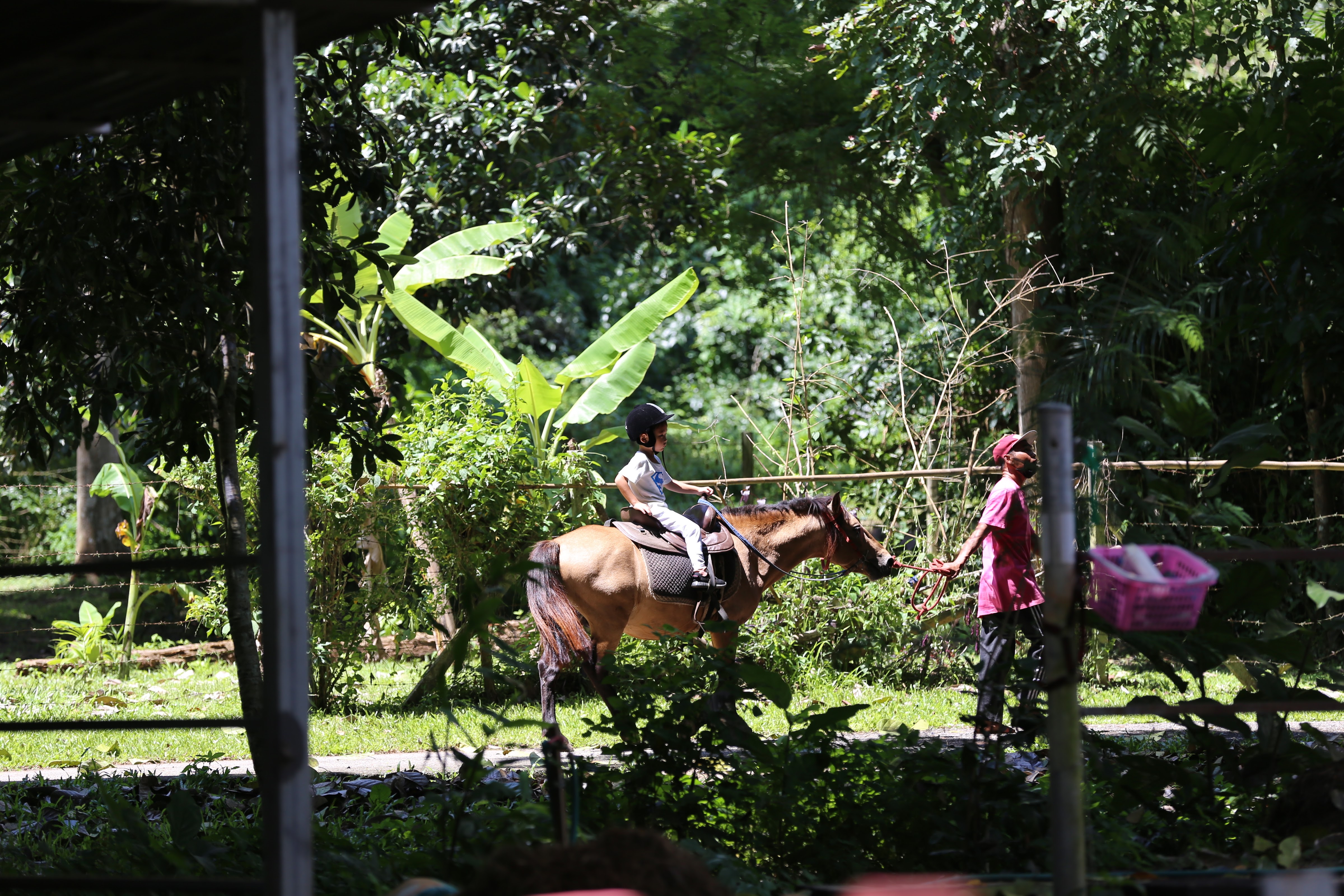On Horse Farm
