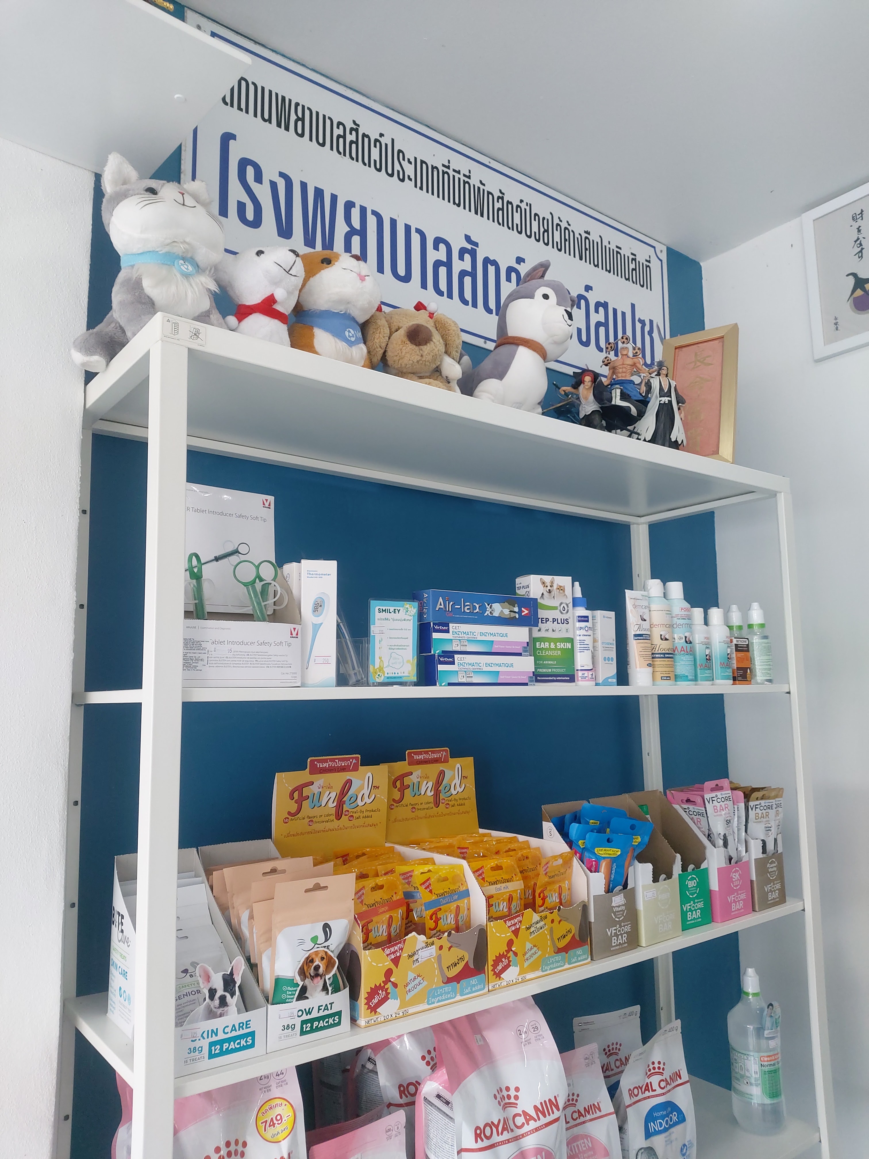 Paws Space Pet Hospital