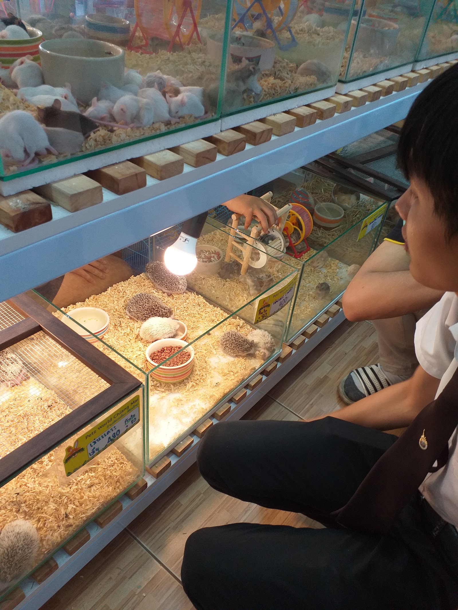 Petz World Chiang Mai