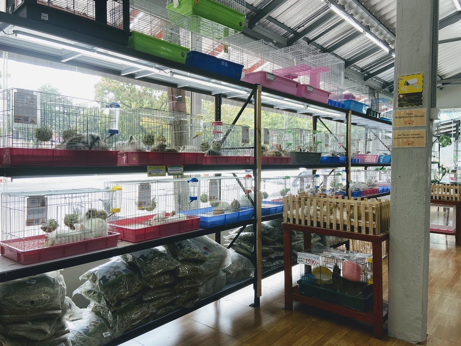 Petz World Chiang Mai