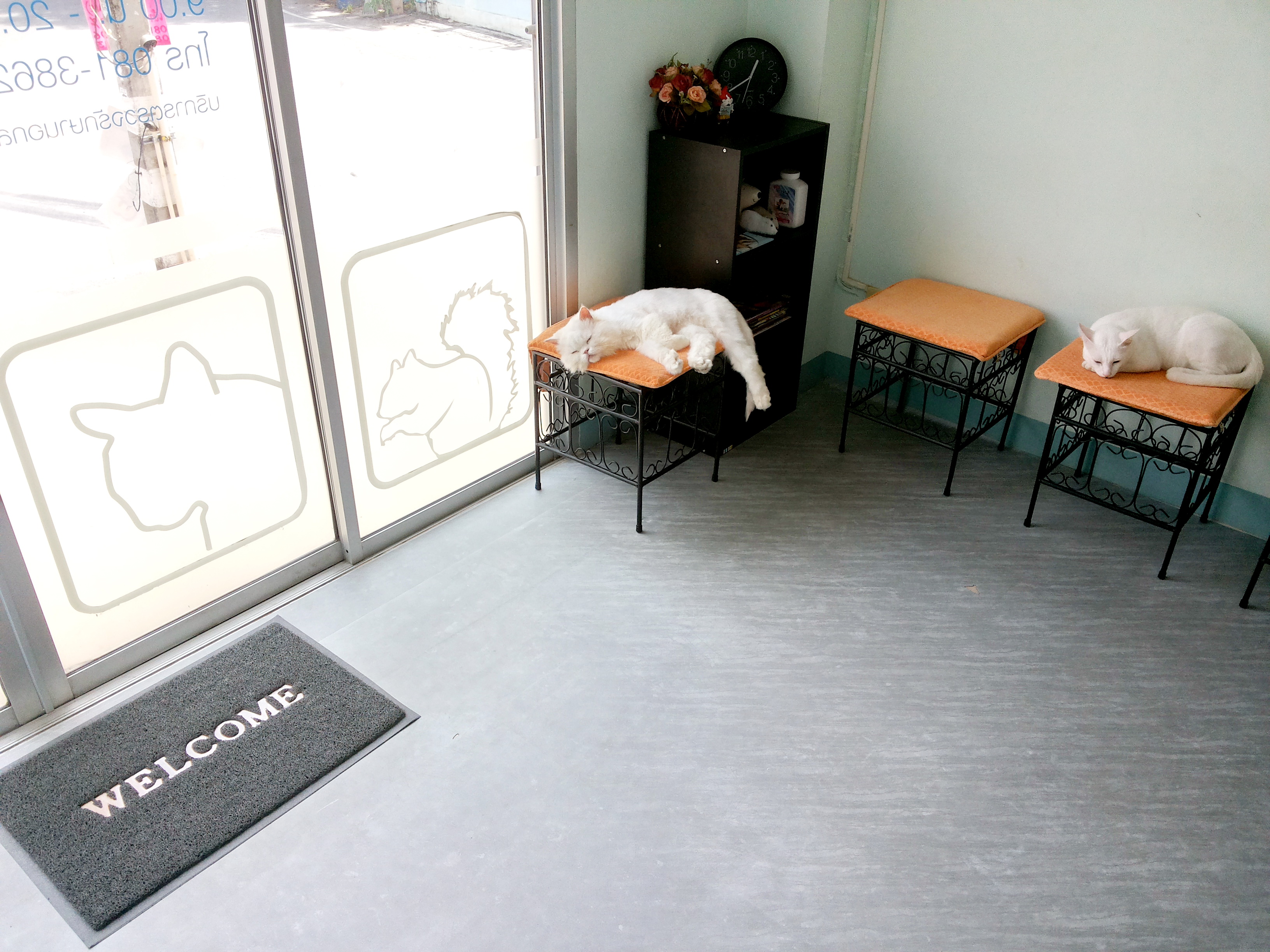 Sabaidee Pet Clinic