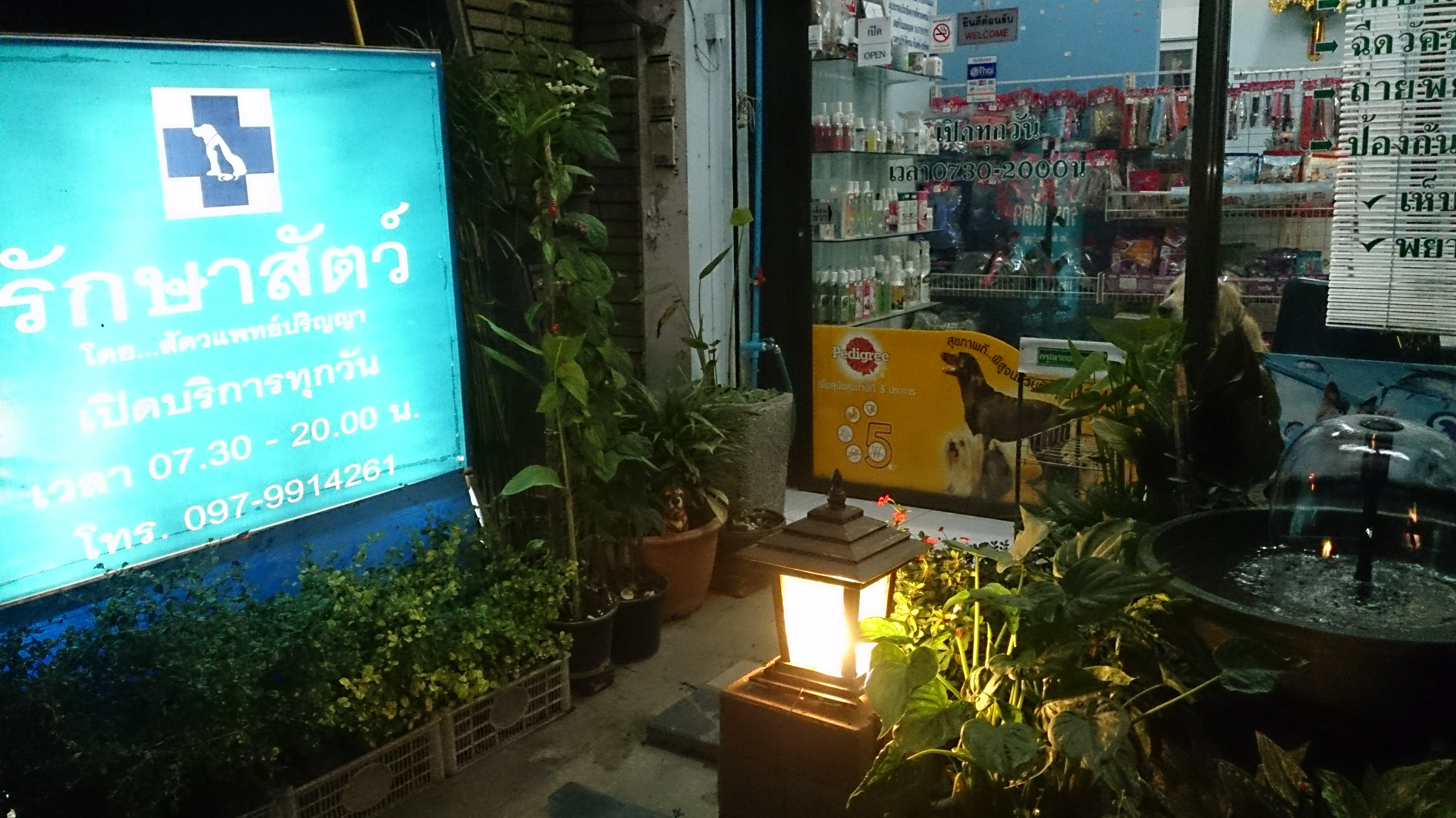 San Pa Tong Veterinary Clinic